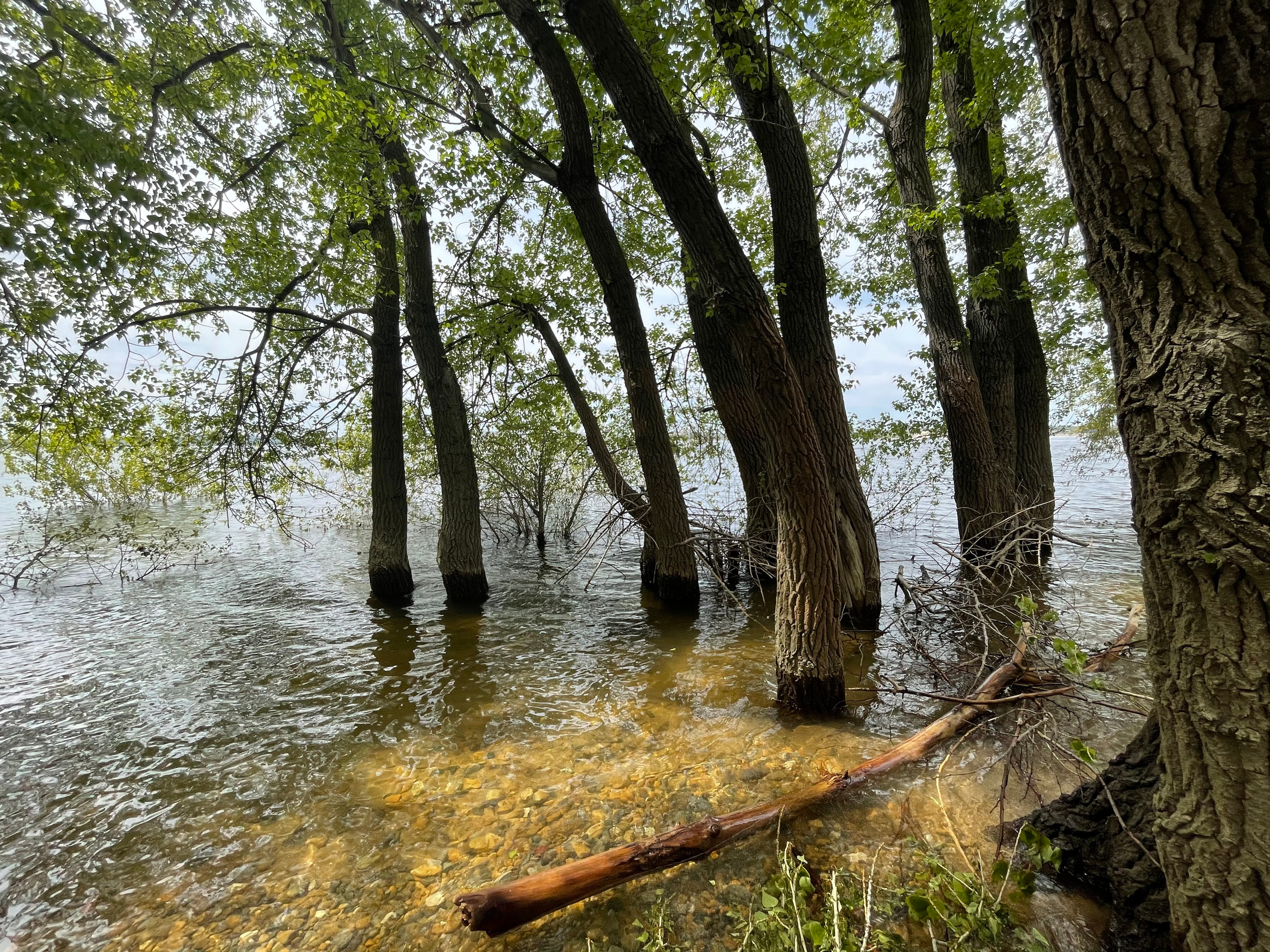 10 005 Берег. ВИЗУАЛЬНЫЕ И ЗВУКОВЫЕ РЕШЕНИЯ ДЛЯ БИЗНЕСА И СЪЁМОК ТЕЛЕТЕЛА