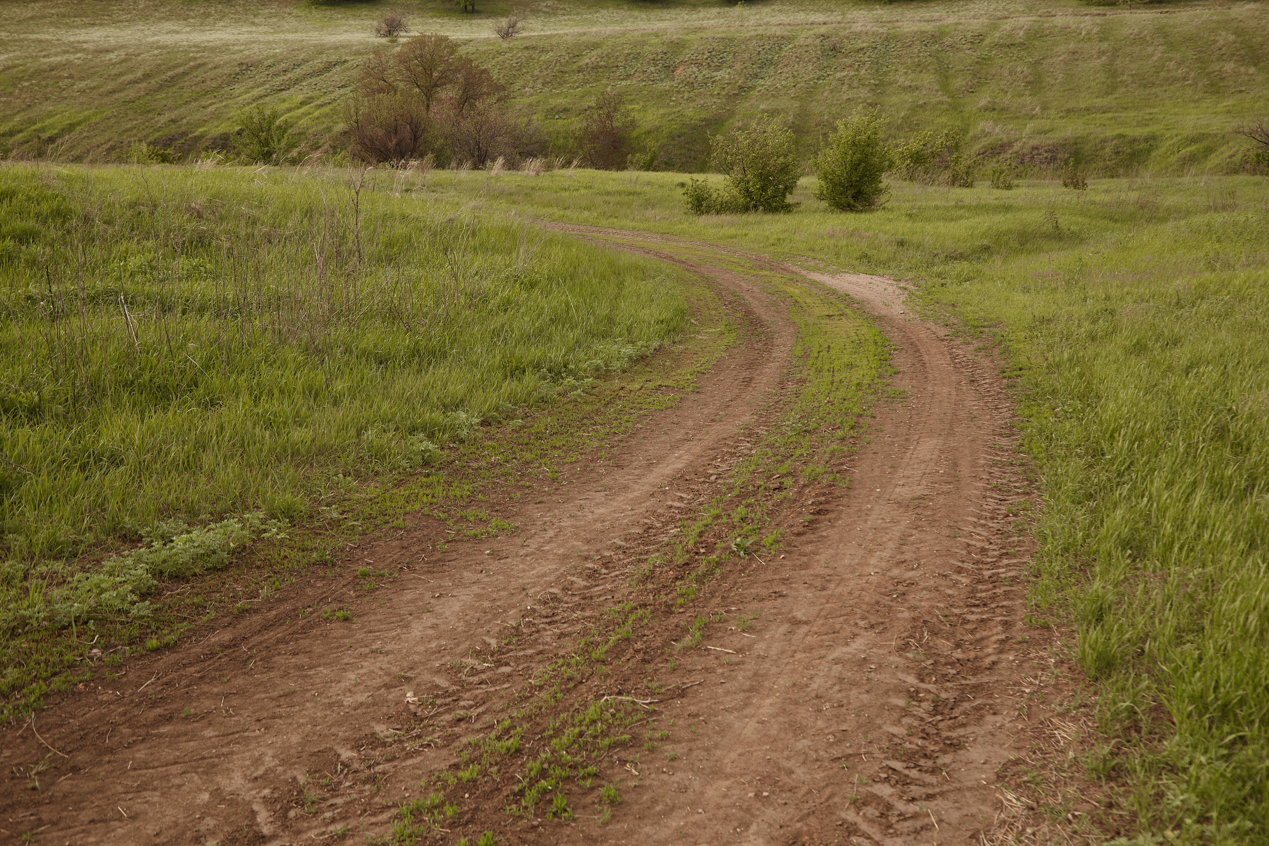 12 001 Холмы. ВИЗУАЛЬНЫЕ И ЗВУКОВЫЕ РЕШЕНИЯ ДЛЯ БИЗНЕСА И СЪЁМОК ТЕЛЕТЕЛА
