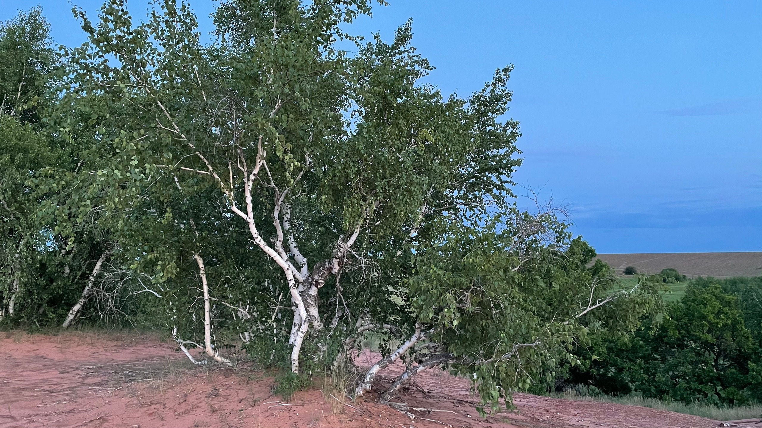 10 952 Пески красные. «Марс». ВИЗУАЛЬНЫЕ И ЗВУКОВЫЕ РЕШЕНИЯ ДЛЯ БИЗНЕСА И СЪЁМОК ТЕЛЕТЕЛА