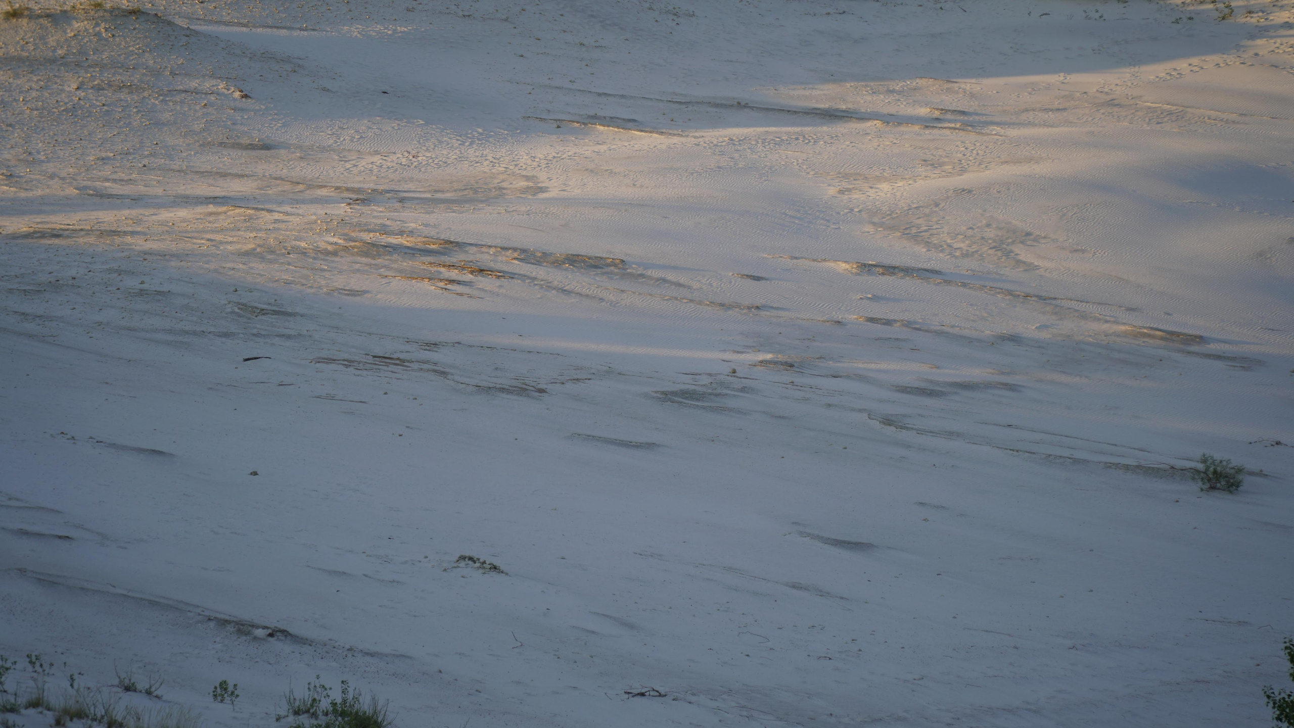 10 900 Пески белые. ВИЗУАЛЬНЫЕ И ЗВУКОВЫЕ РЕШЕНИЯ ДЛЯ БИЗНЕСА И СЪЁМОК ТЕЛЕТЕЛА