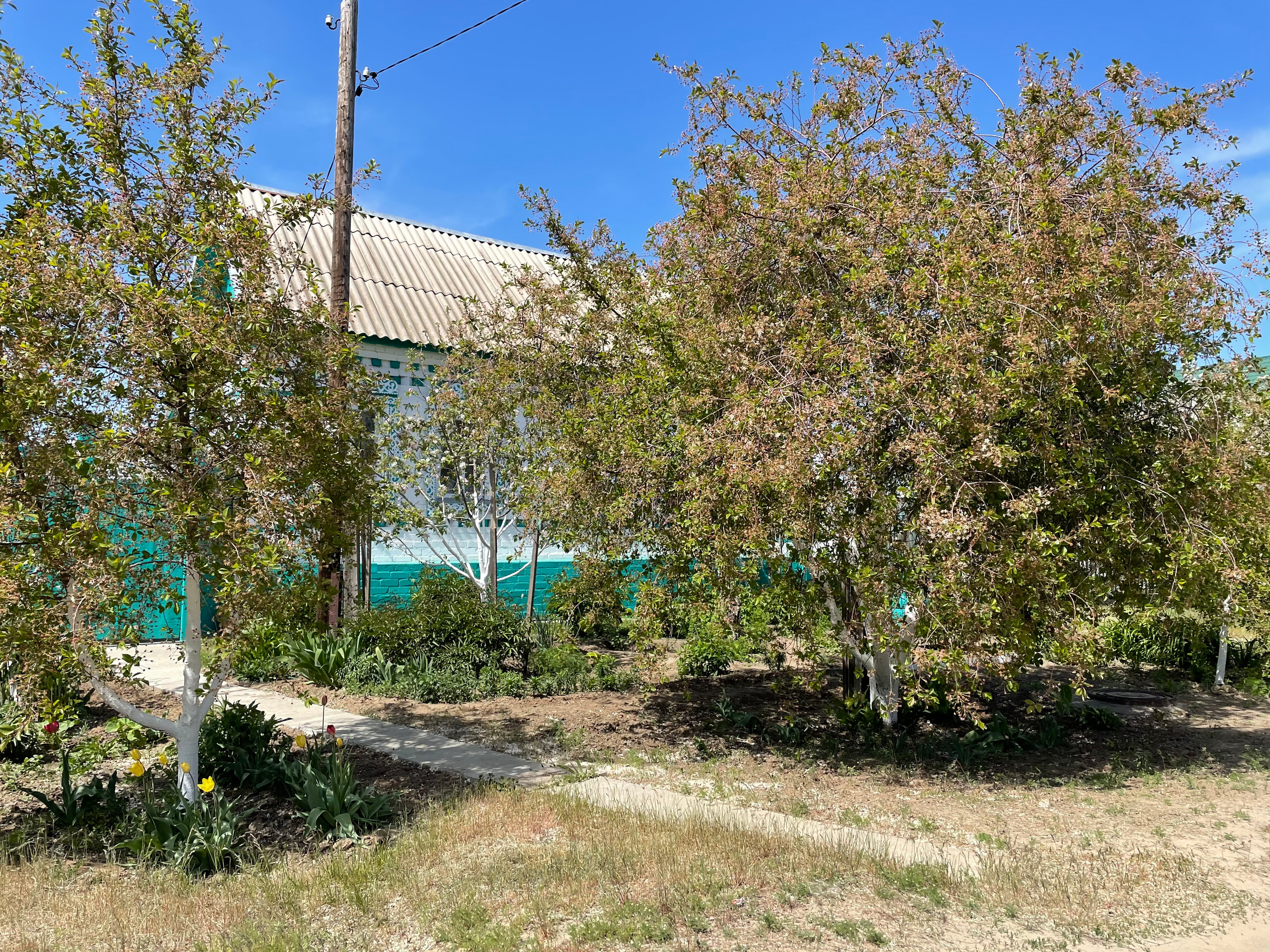 22 300 Деревенский домик в городе. ВИЗУАЛЬНЫЕ И ЗВУКОВЫЕ РЕШЕНИЯ ДЛЯ БИЗНЕСА И СЪЁМОК ТЕЛЕТЕЛА