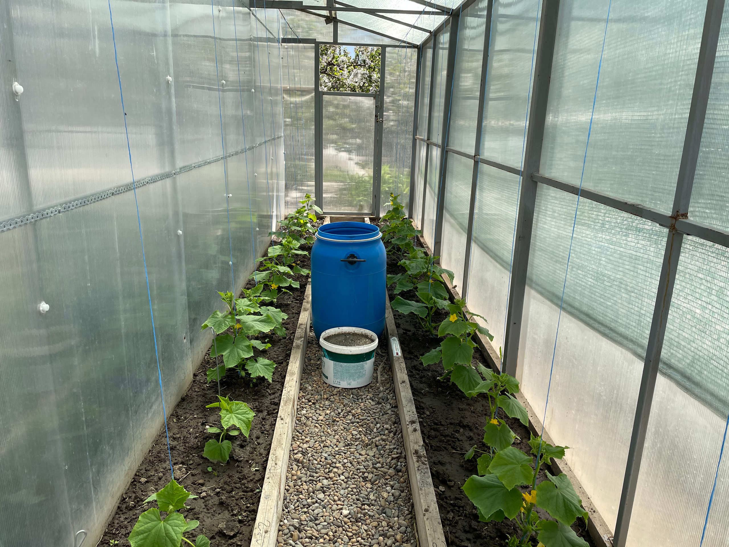 22 401 Теплица. ВИЗУАЛЬНЫЕ И ЗВУКОВЫЕ РЕШЕНИЯ ДЛЯ БИЗНЕСА И СЪЁМОК ТЕЛЕТЕЛА