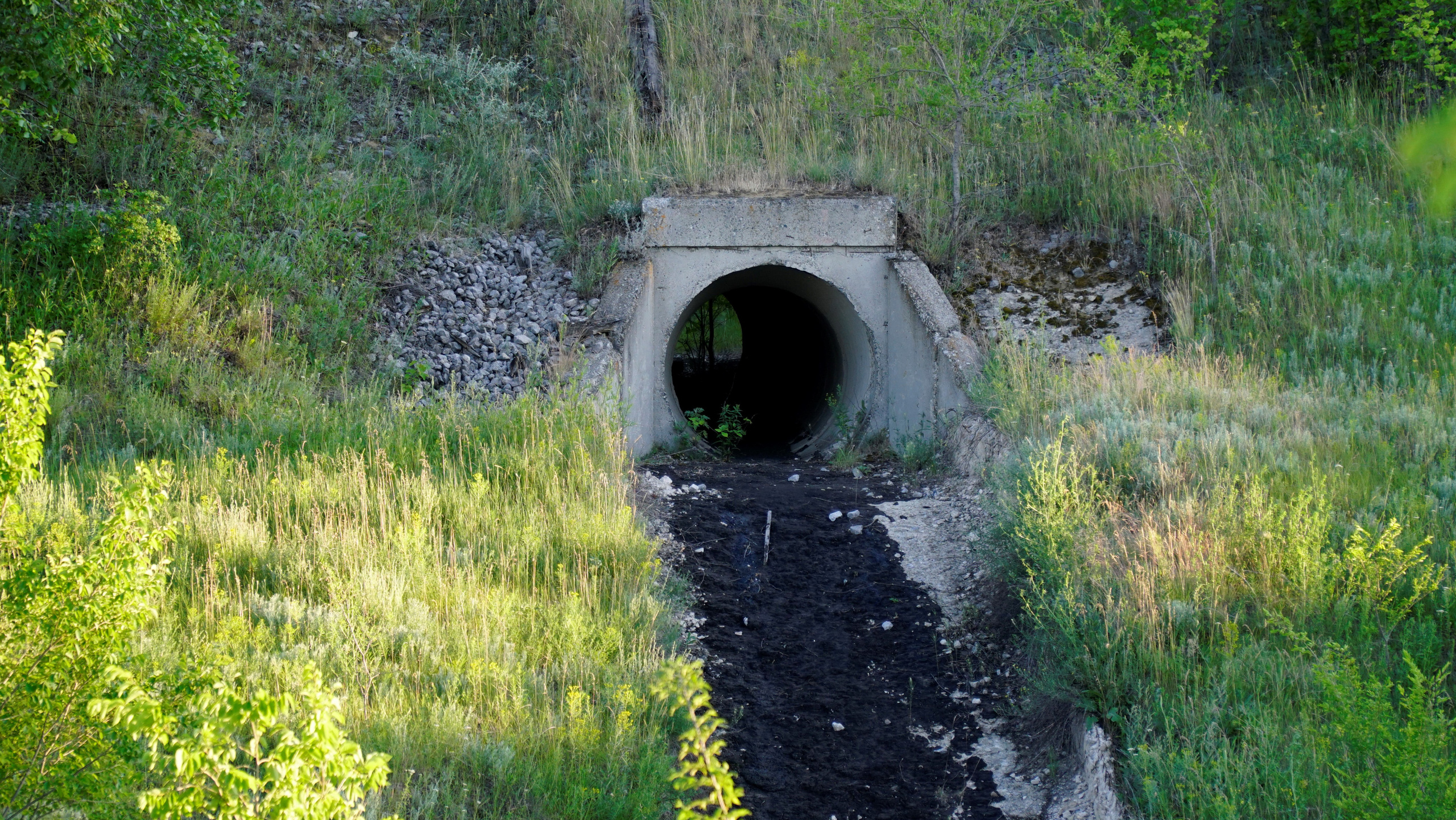 22 803 Труба. ВИЗУАЛЬНЫЕ И ЗВУКОВЫЕ РЕШЕНИЯ ДЛЯ БИЗНЕСА И СЪЁМОК ТЕЛЕТЕЛА