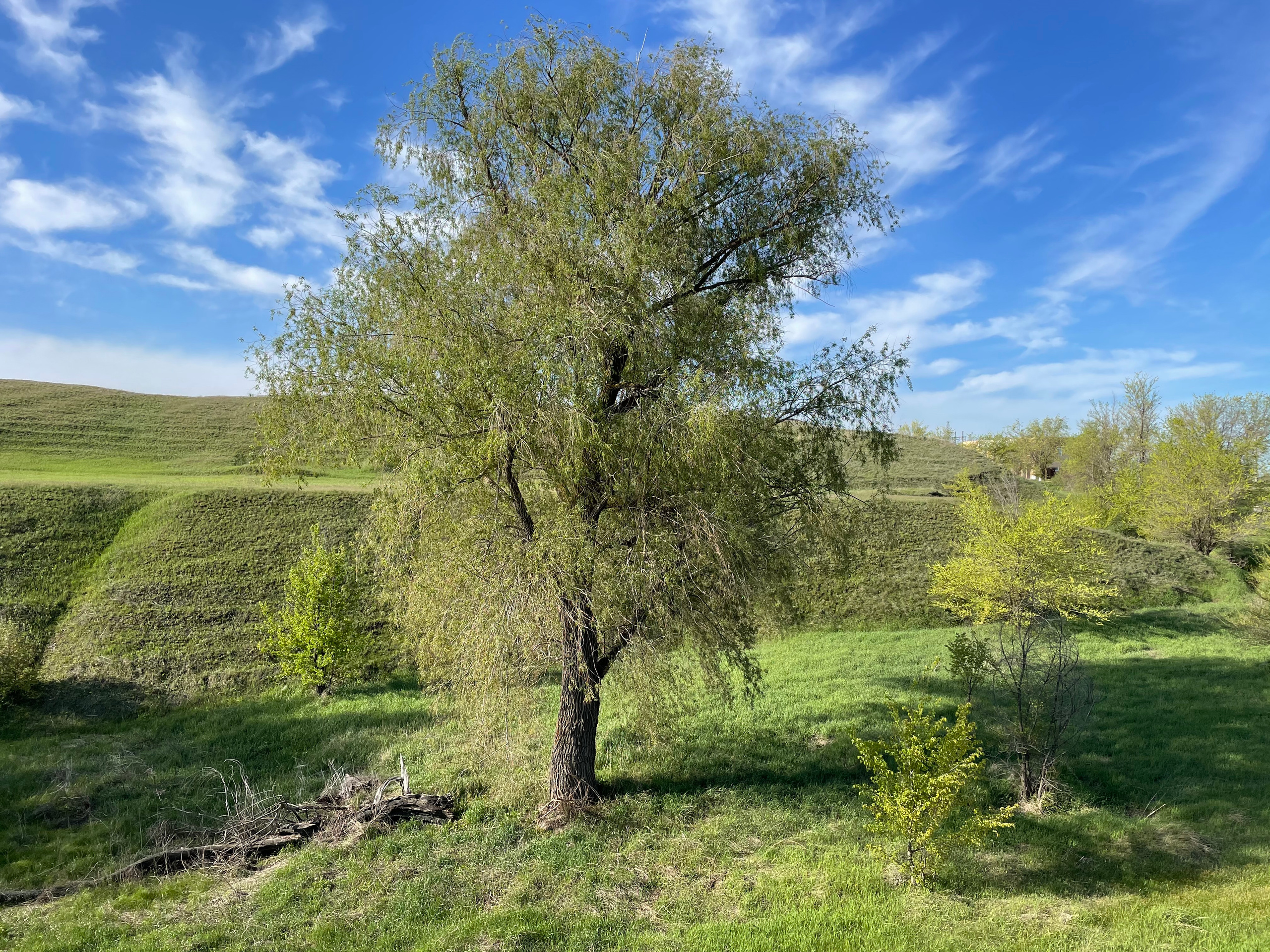 12 000 Холмы. Валы. ВИЗУАЛЬНЫЕ И ЗВУКОВЫЕ РЕШЕНИЯ ДЛЯ БИЗНЕСА И СЪЁМОК ТЕЛЕТЕЛА