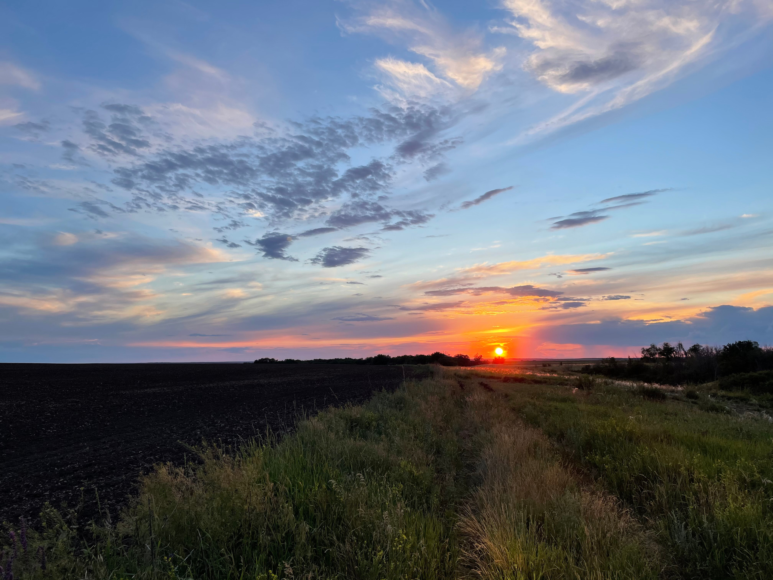 10 507 Степь. ВИЗУАЛЬНЫЕ И ЗВУКОВЫЕ РЕШЕНИЯ ДЛЯ БИЗНЕСА И СЪЁМОК ТЕЛЕТЕЛА