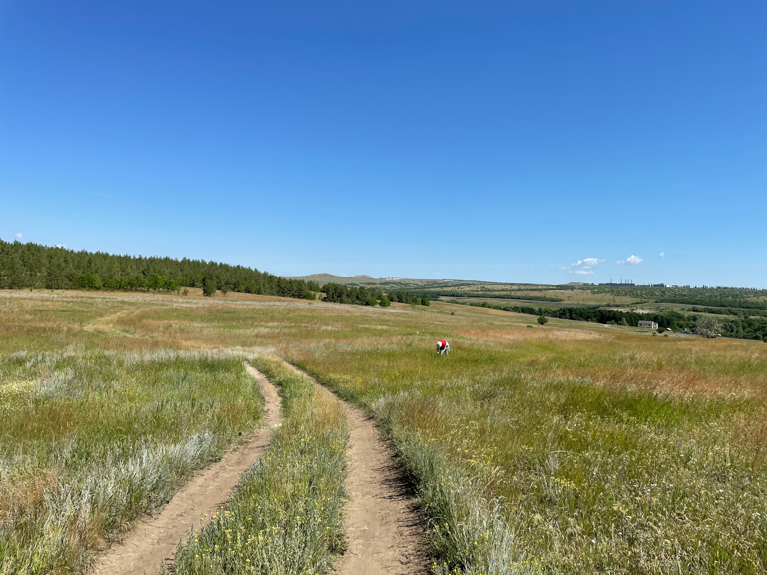10 501 Степь. ВИЗУАЛЬНЫЕ И ЗВУКОВЫЕ РЕШЕНИЯ ДЛЯ БИЗНЕСА И СЪЁМОК ТЕЛЕТЕЛА