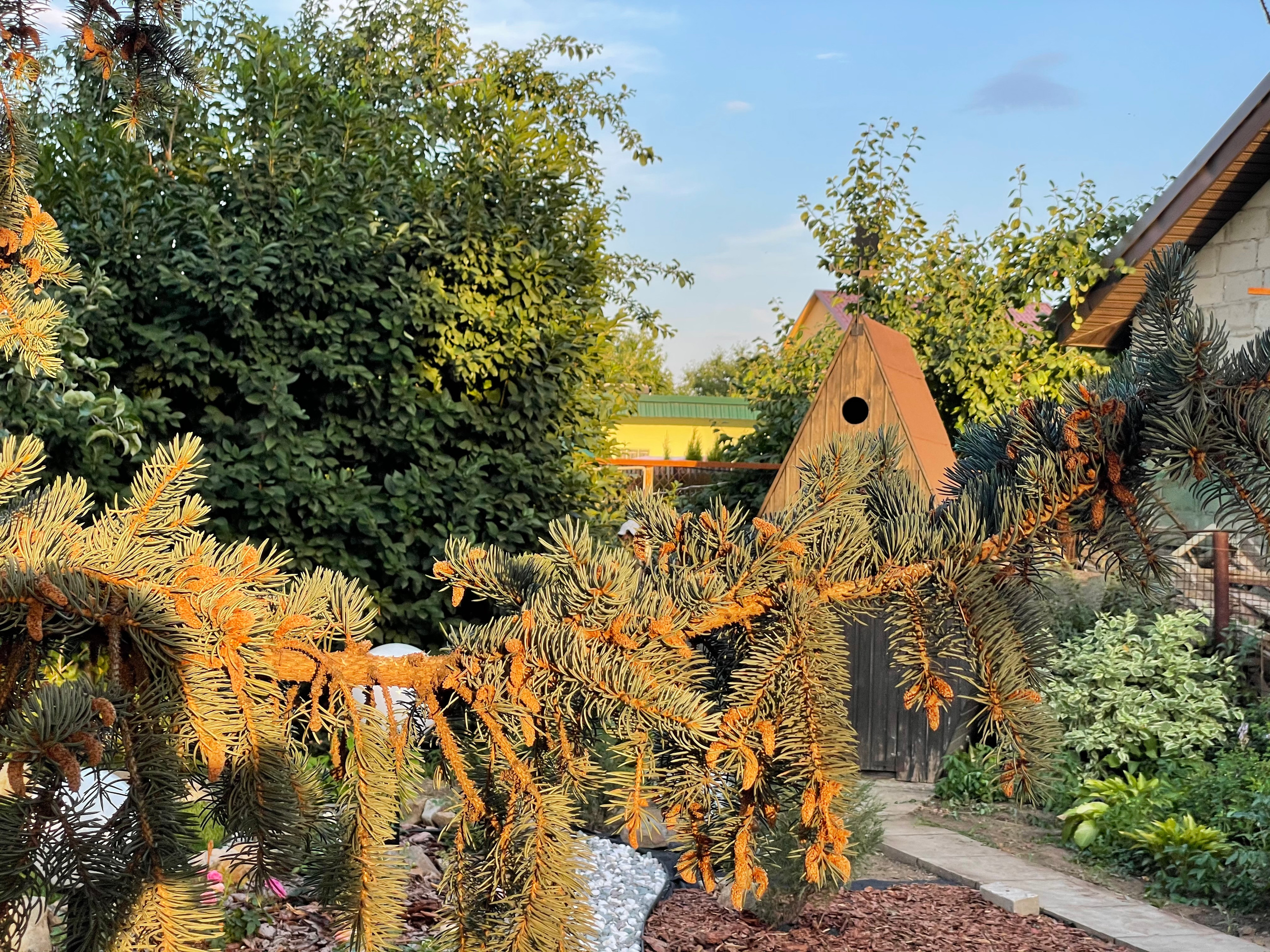 22 308 Дача. ВИЗУАЛЬНЫЕ И ЗВУКОВЫЕ РЕШЕНИЯ ДЛЯ БИЗНЕСА И СЪЁМОК ТЕЛЕТЕЛА