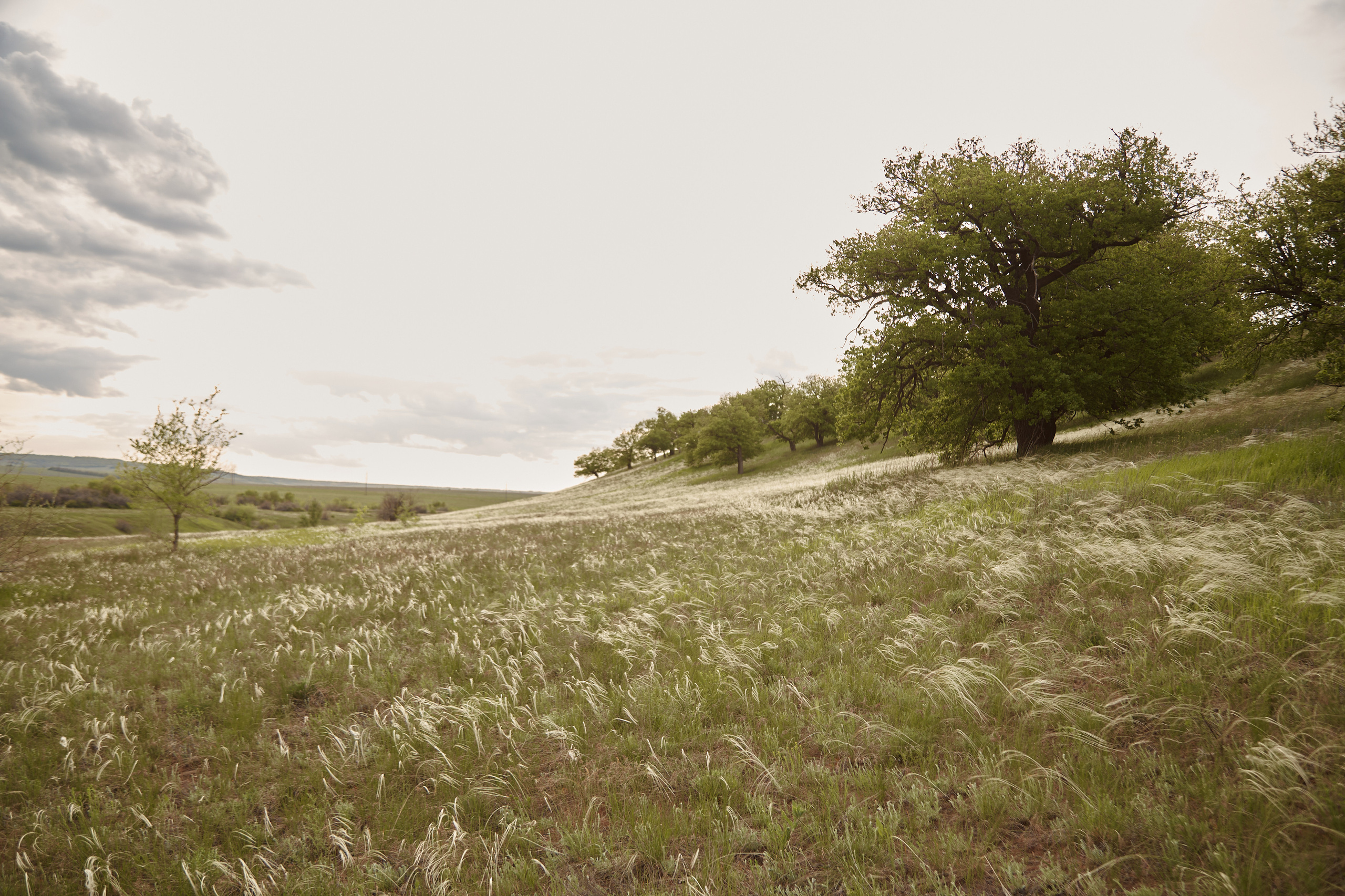 12 001 Холмы. ВИЗУАЛЬНЫЕ И ЗВУКОВЫЕ РЕШЕНИЯ ДЛЯ БИЗНЕСА И СЪЁМОК ТЕЛЕТЕЛА