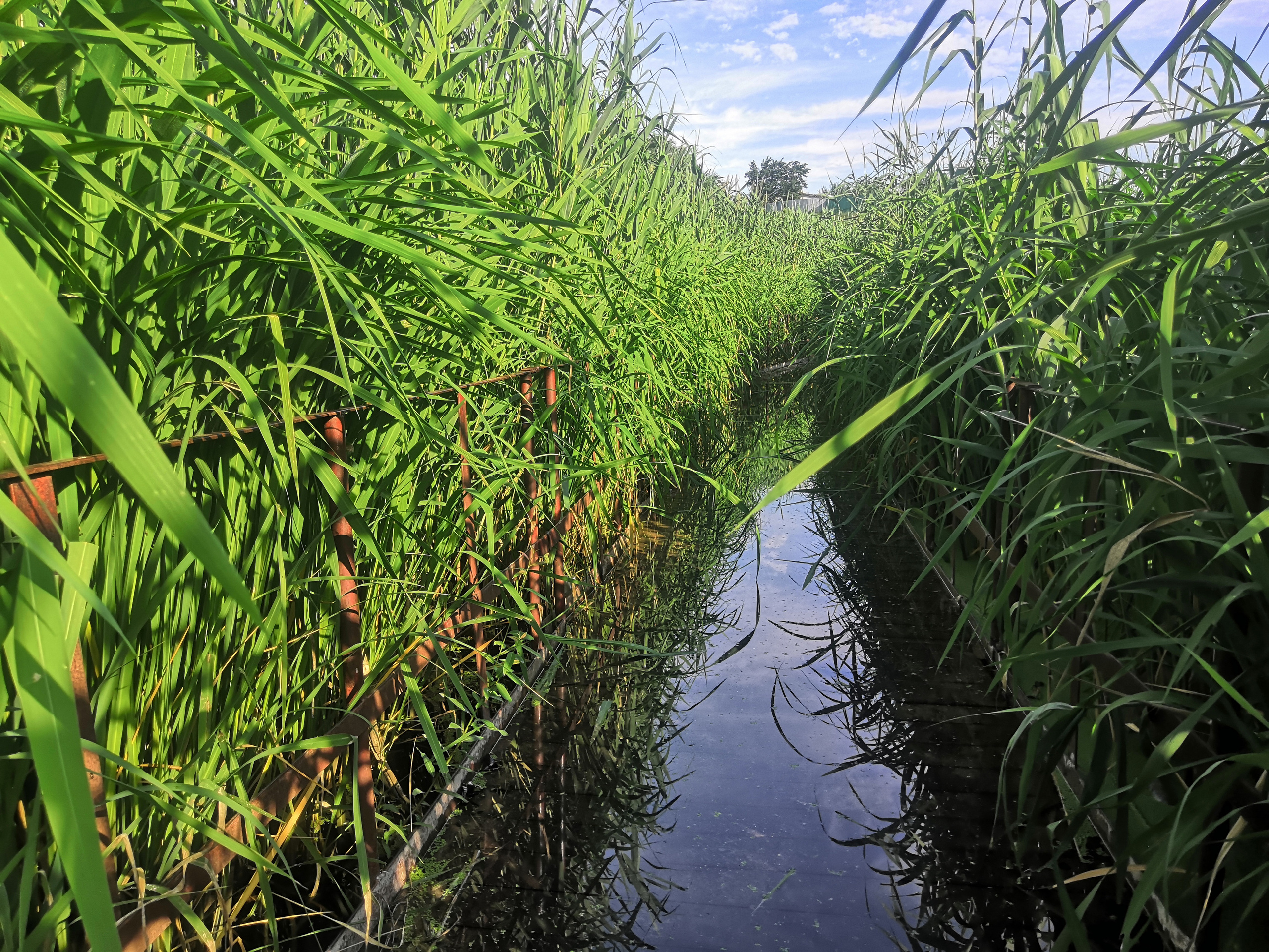 20 507 Мост. ВИЗУАЛЬНЫЕ И ЗВУКОВЫЕ РЕШЕНИЯ ДЛЯ БИЗНЕСА И СЪЁМОК ТЕЛЕТЕЛА
