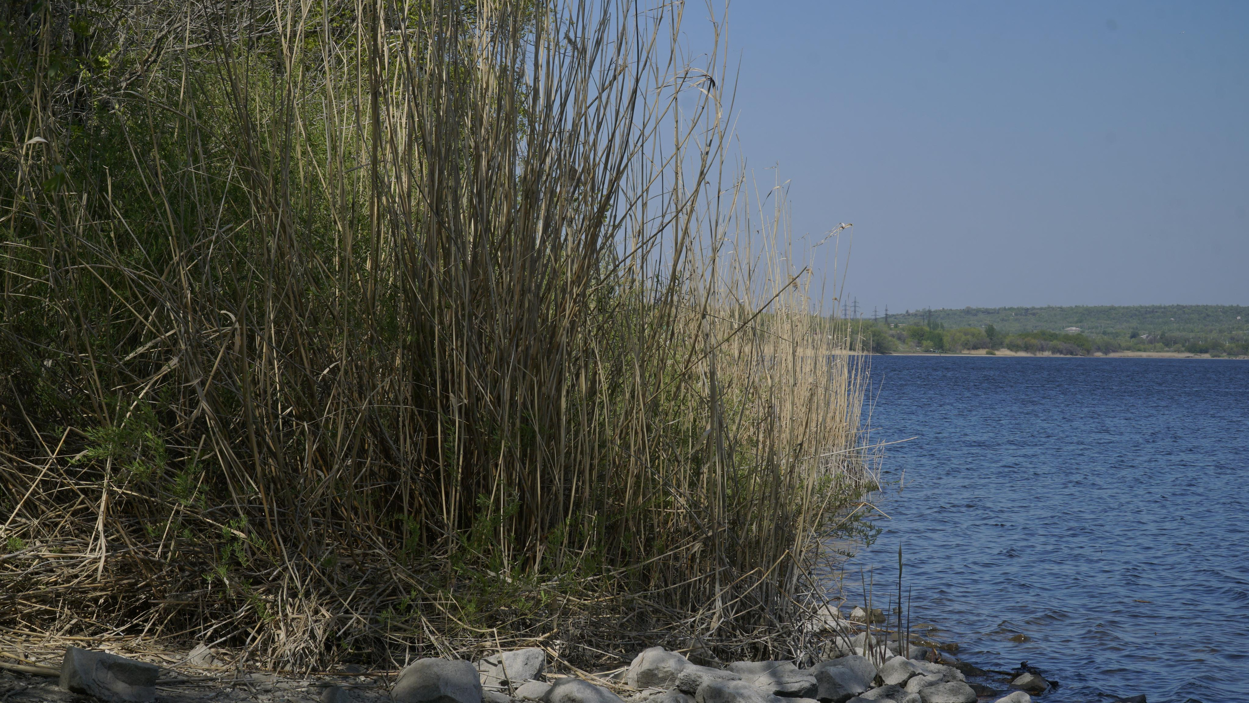 10 007 Берег. ВИЗУАЛЬНЫЕ И ЗВУКОВЫЕ РЕШЕНИЯ ДЛЯ БИЗНЕСА И СЪЁМОК ТЕЛЕТЕЛА