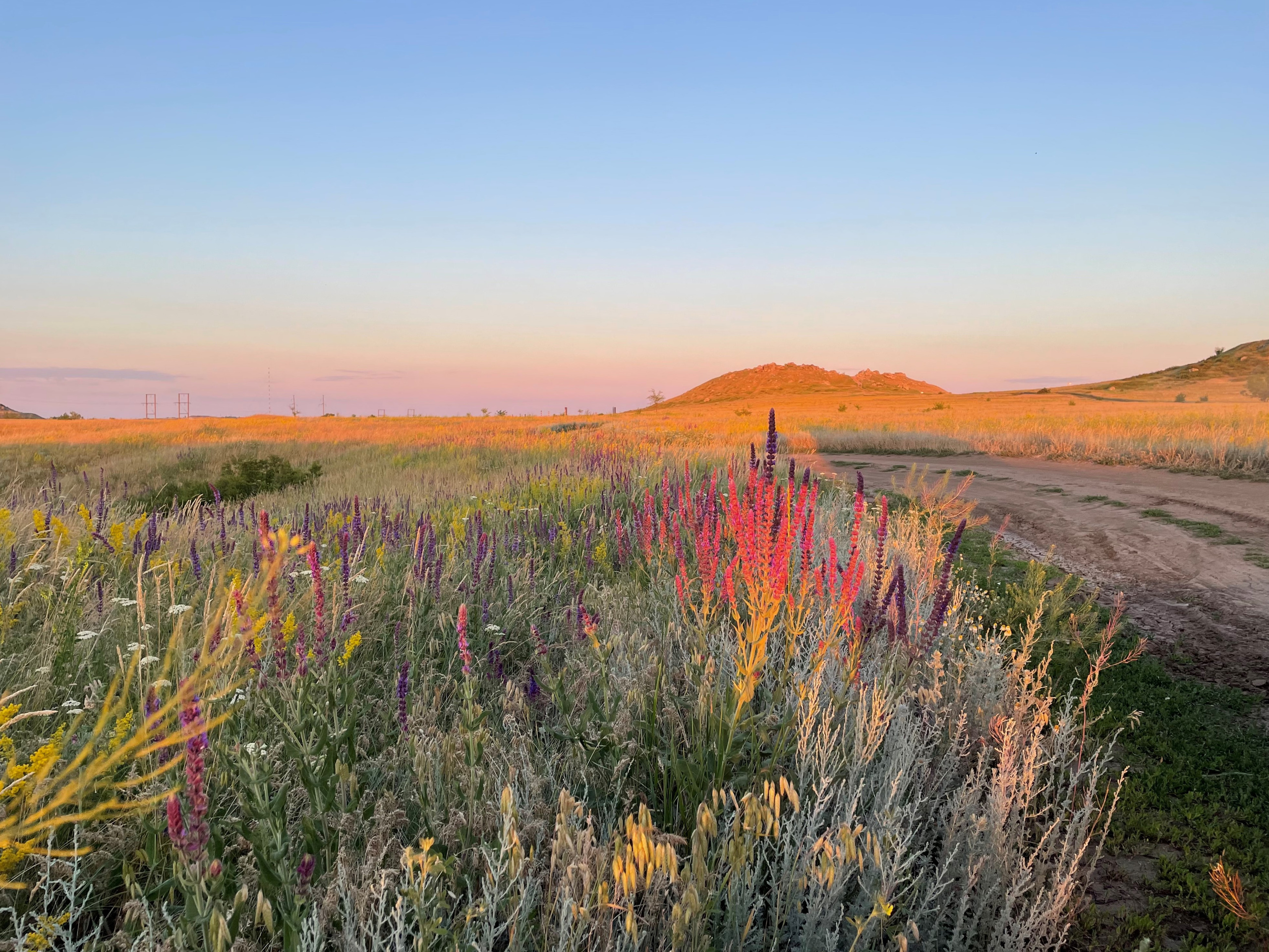 10 502 Степь. ВИЗУАЛЬНЫЕ И ЗВУКОВЫЕ РЕШЕНИЯ ДЛЯ БИЗНЕСА И СЪЁМОК ТЕЛЕТЕЛА