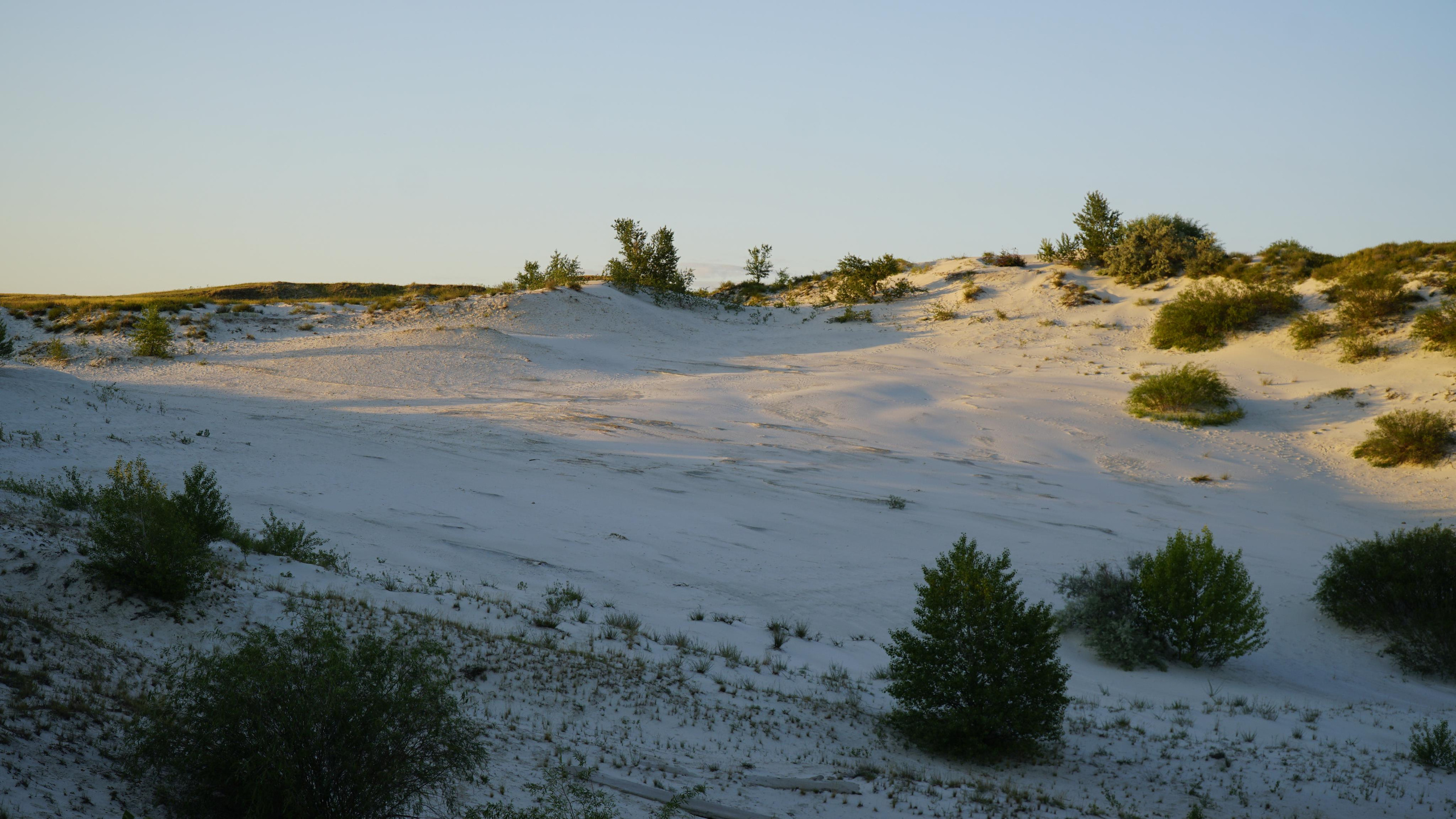 10 905 Пески белые. ВИЗУАЛЬНЫЕ И ЗВУКОВЫЕ РЕШЕНИЯ ДЛЯ БИЗНЕСА И СЪЁМОК ТЕЛЕТЕЛА