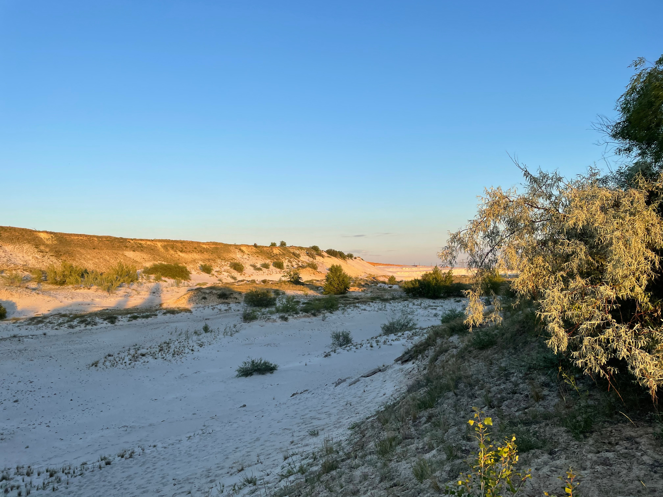 10 902 Пески белые. ВИЗУАЛЬНЫЕ И ЗВУКОВЫЕ РЕШЕНИЯ ДЛЯ БИЗНЕСА И СЪЁМОК ТЕЛЕТЕЛА