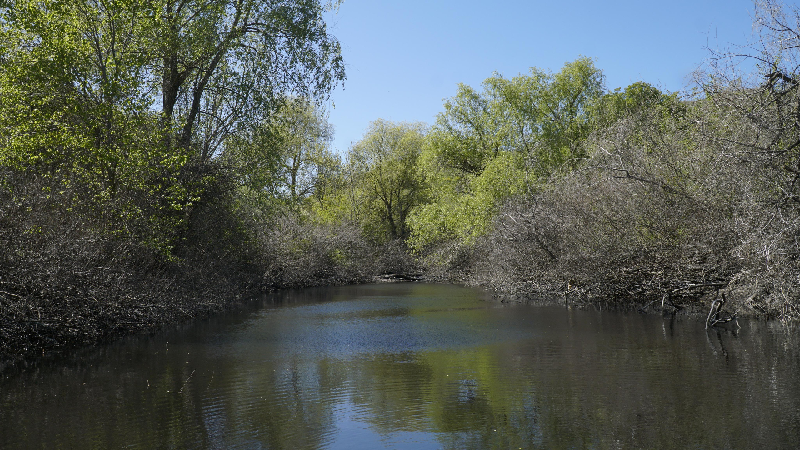 10 300 Пруд. ВИЗУАЛЬНЫЕ И ЗВУКОВЫЕ РЕШЕНИЯ ДЛЯ БИЗНЕСА И СЪЁМОК ТЕЛЕТЕЛА