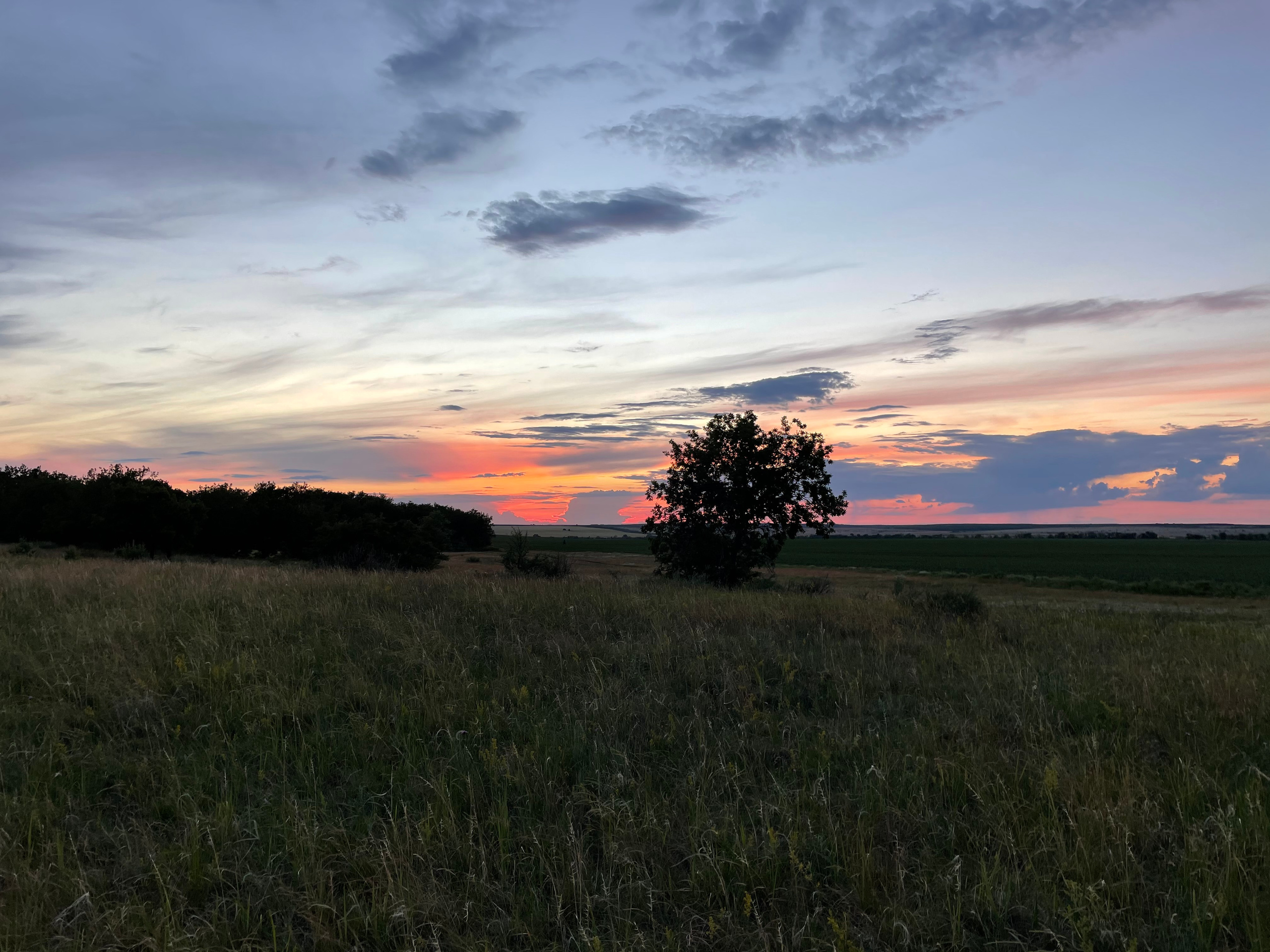 10 507 Степь. ВИЗУАЛЬНЫЕ И ЗВУКОВЫЕ РЕШЕНИЯ ДЛЯ БИЗНЕСА И СЪЁМОК ТЕЛЕТЕЛА
