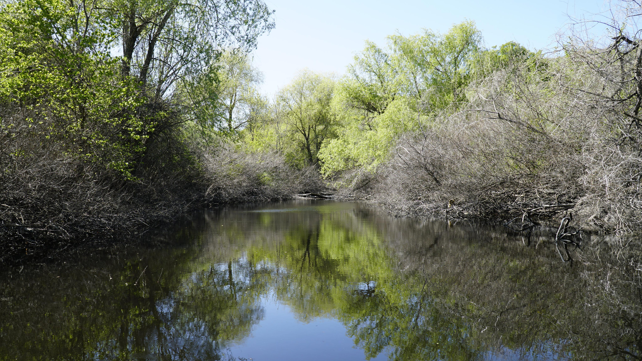 10 300 Пруд. ВИЗУАЛЬНЫЕ И ЗВУКОВЫЕ РЕШЕНИЯ ДЛЯ БИЗНЕСА И СЪЁМОК ТЕЛЕТЕЛА