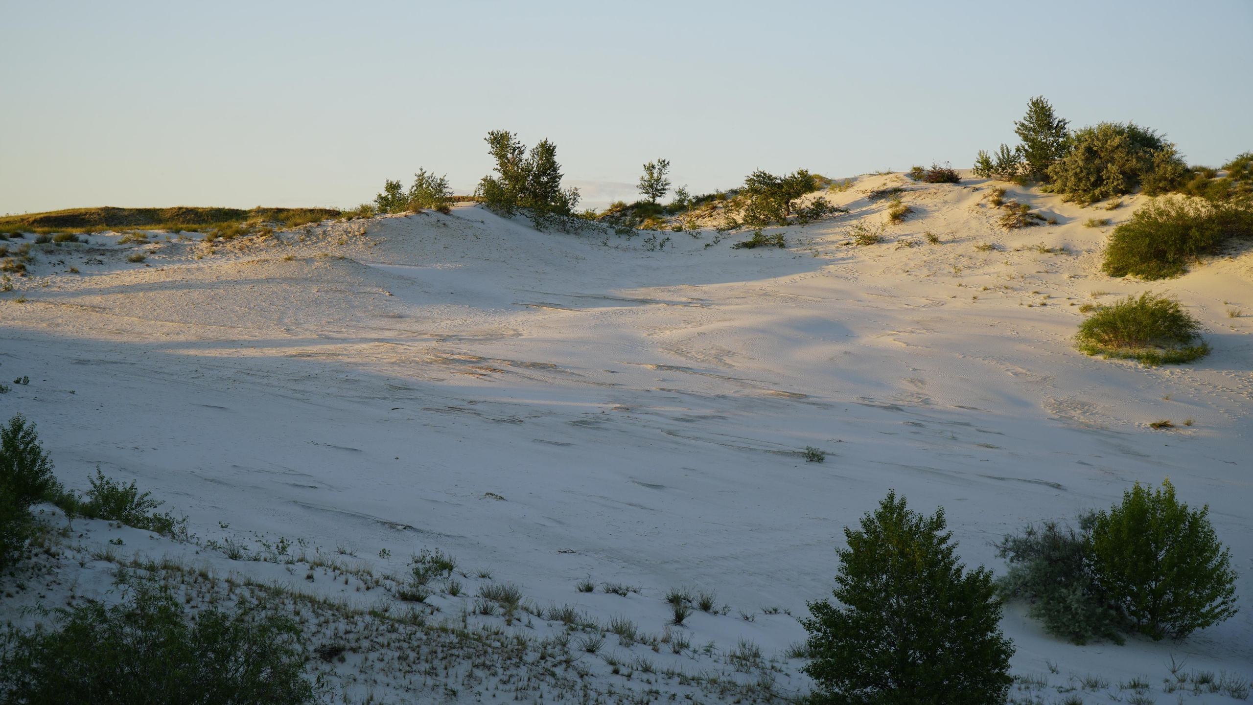10 905 Пески белые. ВИЗУАЛЬНЫЕ И ЗВУКОВЫЕ РЕШЕНИЯ ДЛЯ БИЗНЕСА И СЪЁМОК ТЕЛЕТЕЛА