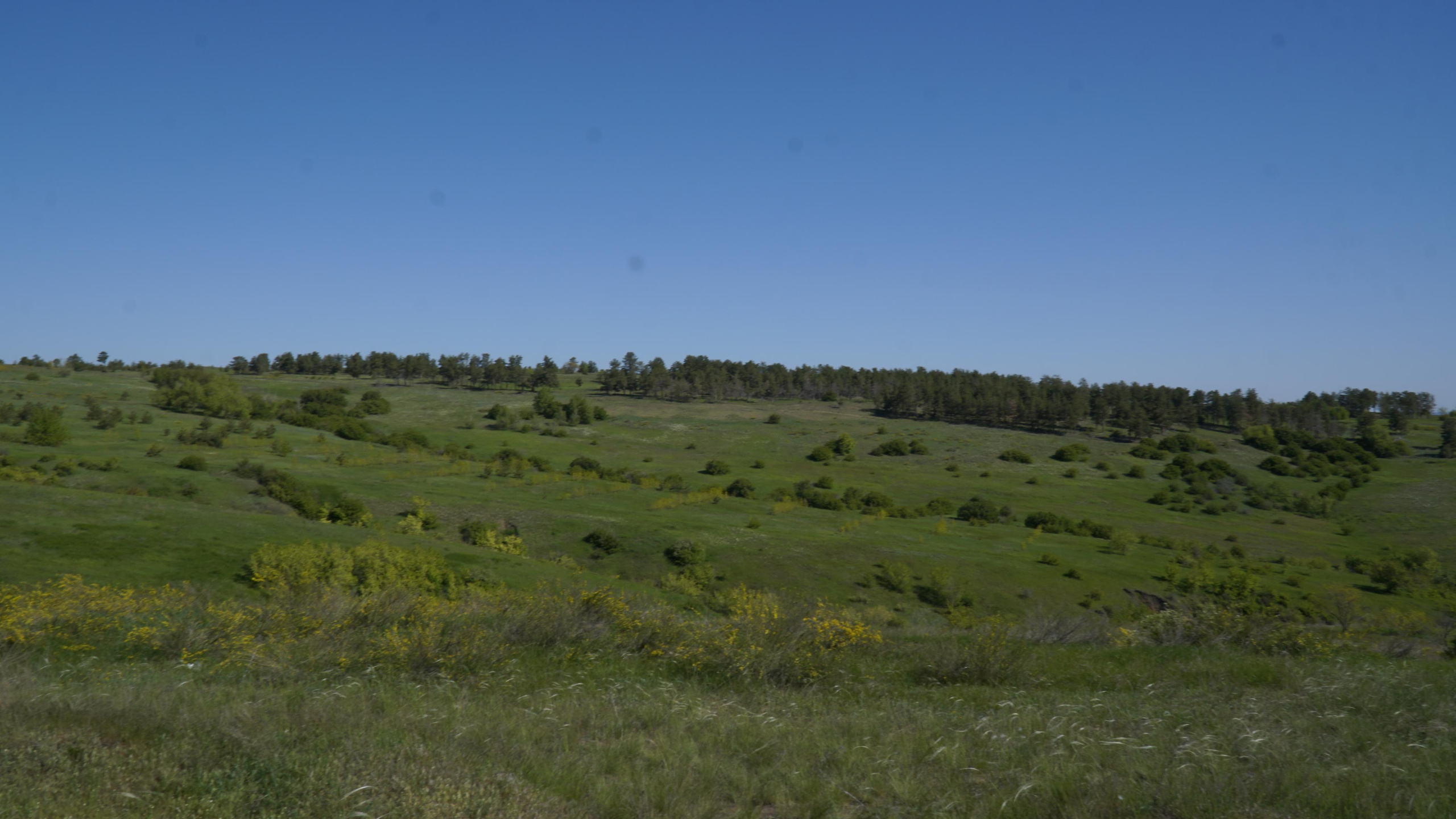 10 505 Степь. ВИЗУАЛЬНЫЕ И ЗВУКОВЫЕ РЕШЕНИЯ ДЛЯ БИЗНЕСА И СЪЁМОК ТЕЛЕТЕЛА