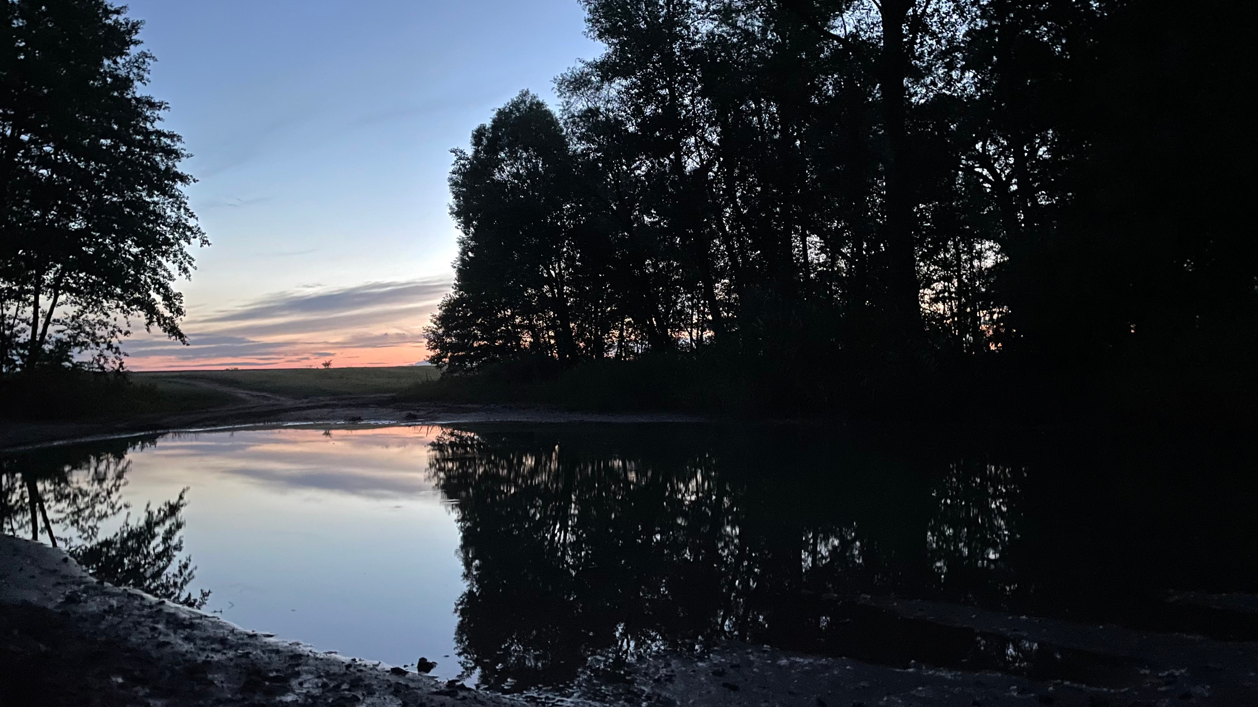 10 701 Степь. Лес. ВИЗУАЛЬНЫЕ И ЗВУКОВЫЕ РЕШЕНИЯ ДЛЯ БИЗНЕСА И СЪЁМОК ТЕЛЕТЕЛА