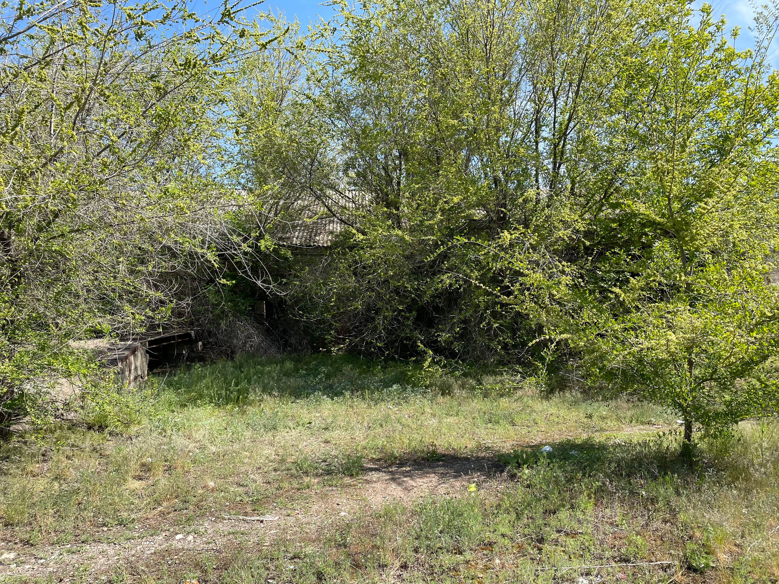 20 103 Заброшенное здание. ВИЗУАЛЬНЫЕ И ЗВУКОВЫЕ РЕШЕНИЯ ДЛЯ БИЗНЕСА И СЪЁМОК ТЕЛЕТЕЛА