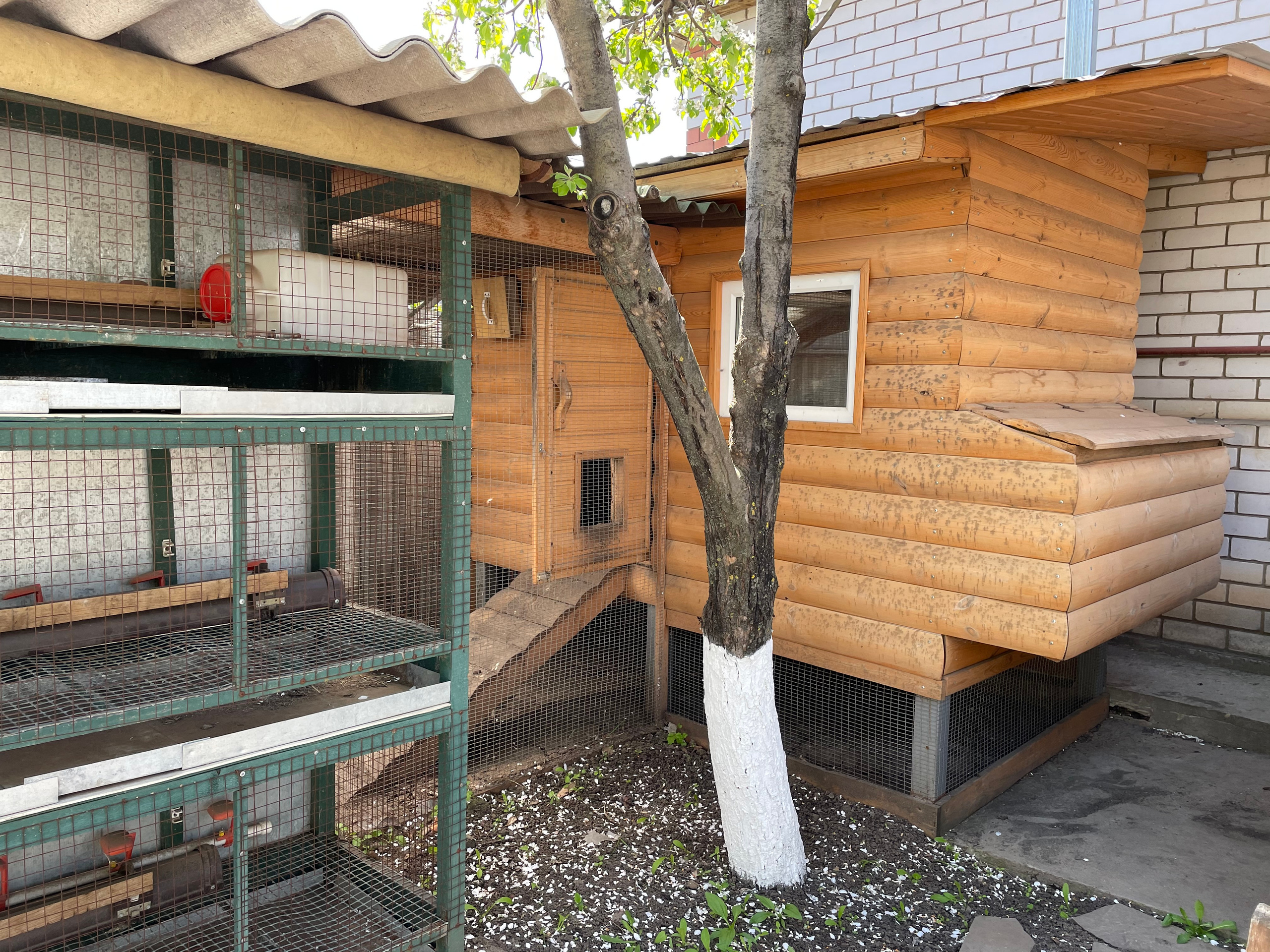 22 400 Курятник. ВИЗУАЛЬНЫЕ И ЗВУКОВЫЕ РЕШЕНИЯ ДЛЯ БИЗНЕСА И СЪЁМОК ТЕЛЕТЕЛА