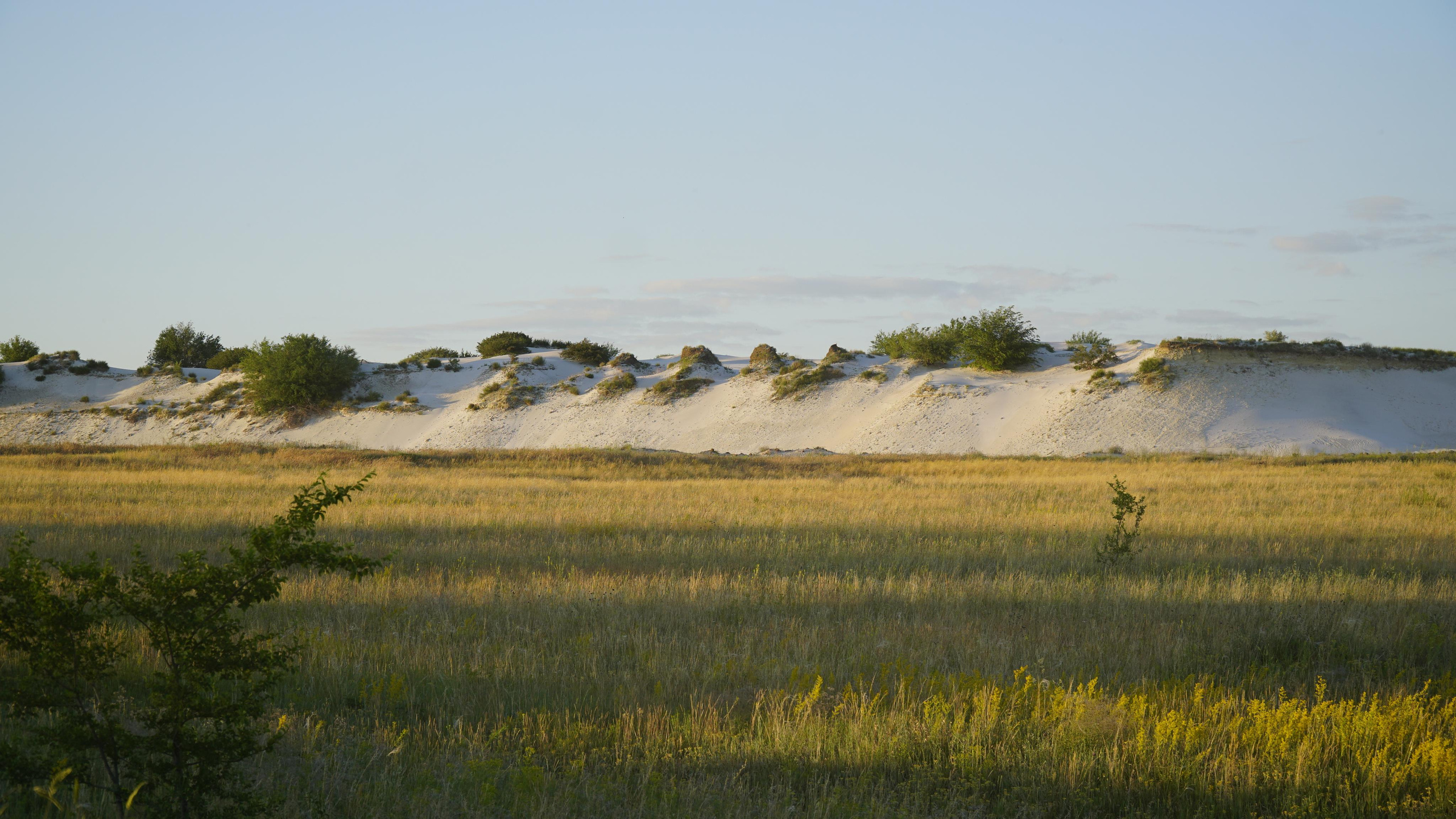 10 751 Степь. Пески белые. ВИЗУАЛЬНЫЕ И ЗВУКОВЫЕ РЕШЕНИЯ ДЛЯ БИЗНЕСА И СЪЁМОК ТЕЛЕТЕЛА