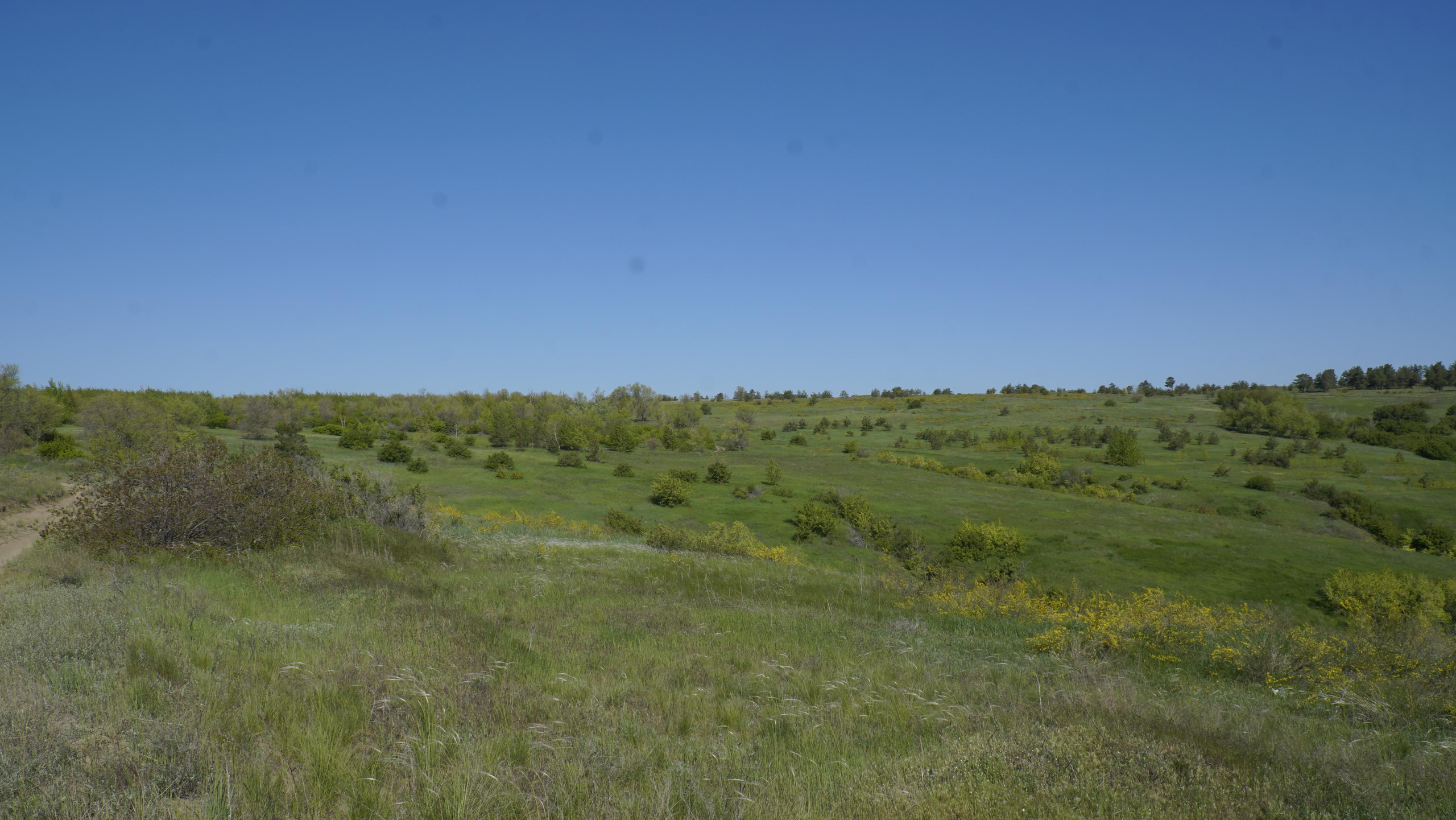 10 505 Степь. ВИЗУАЛЬНЫЕ И ЗВУКОВЫЕ РЕШЕНИЯ ДЛЯ БИЗНЕСА И СЪЁМОК ТЕЛЕТЕЛА
