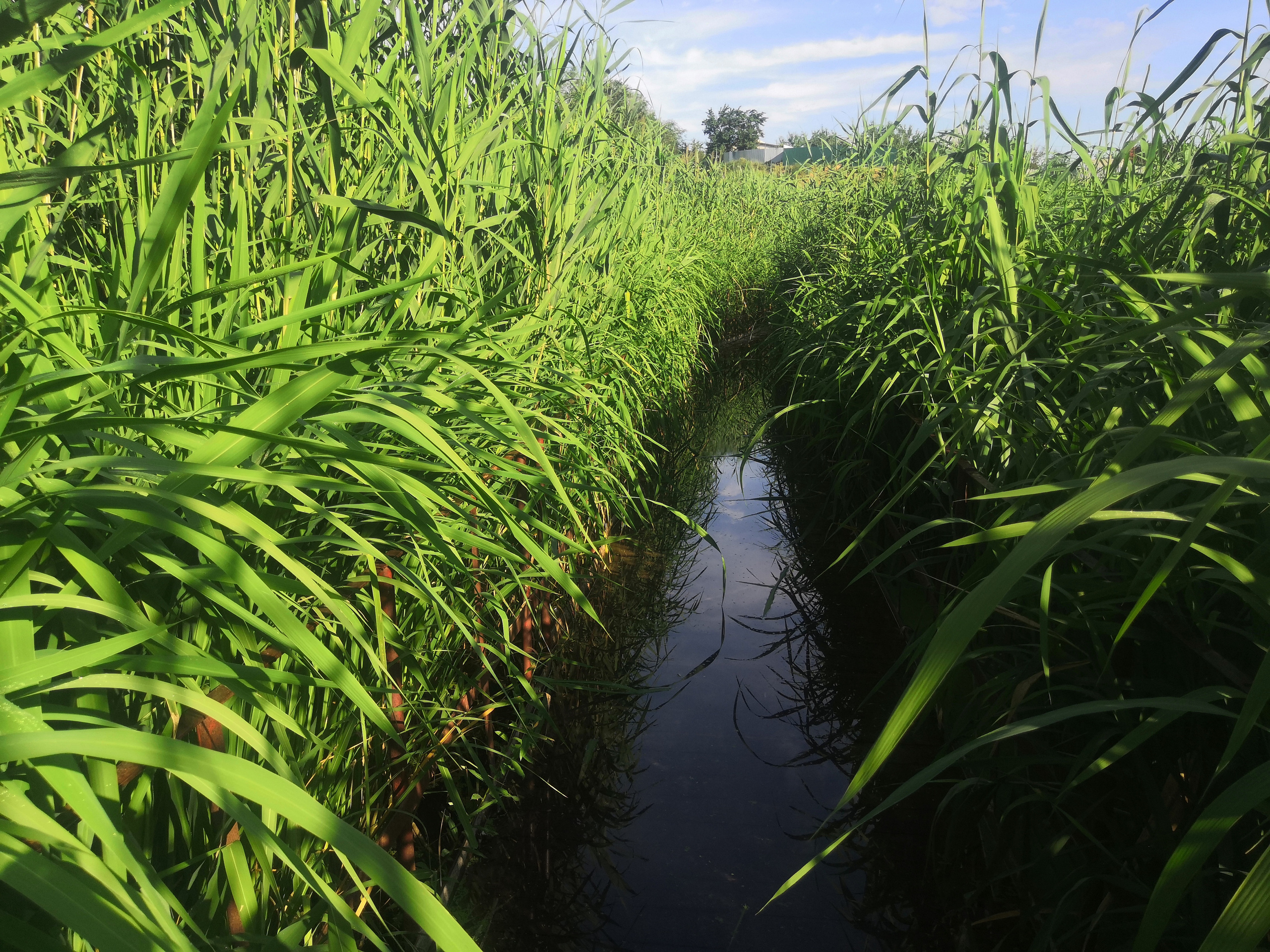 20 507 Мост. ВИЗУАЛЬНЫЕ И ЗВУКОВЫЕ РЕШЕНИЯ ДЛЯ БИЗНЕСА И СЪЁМОК ТЕЛЕТЕЛА