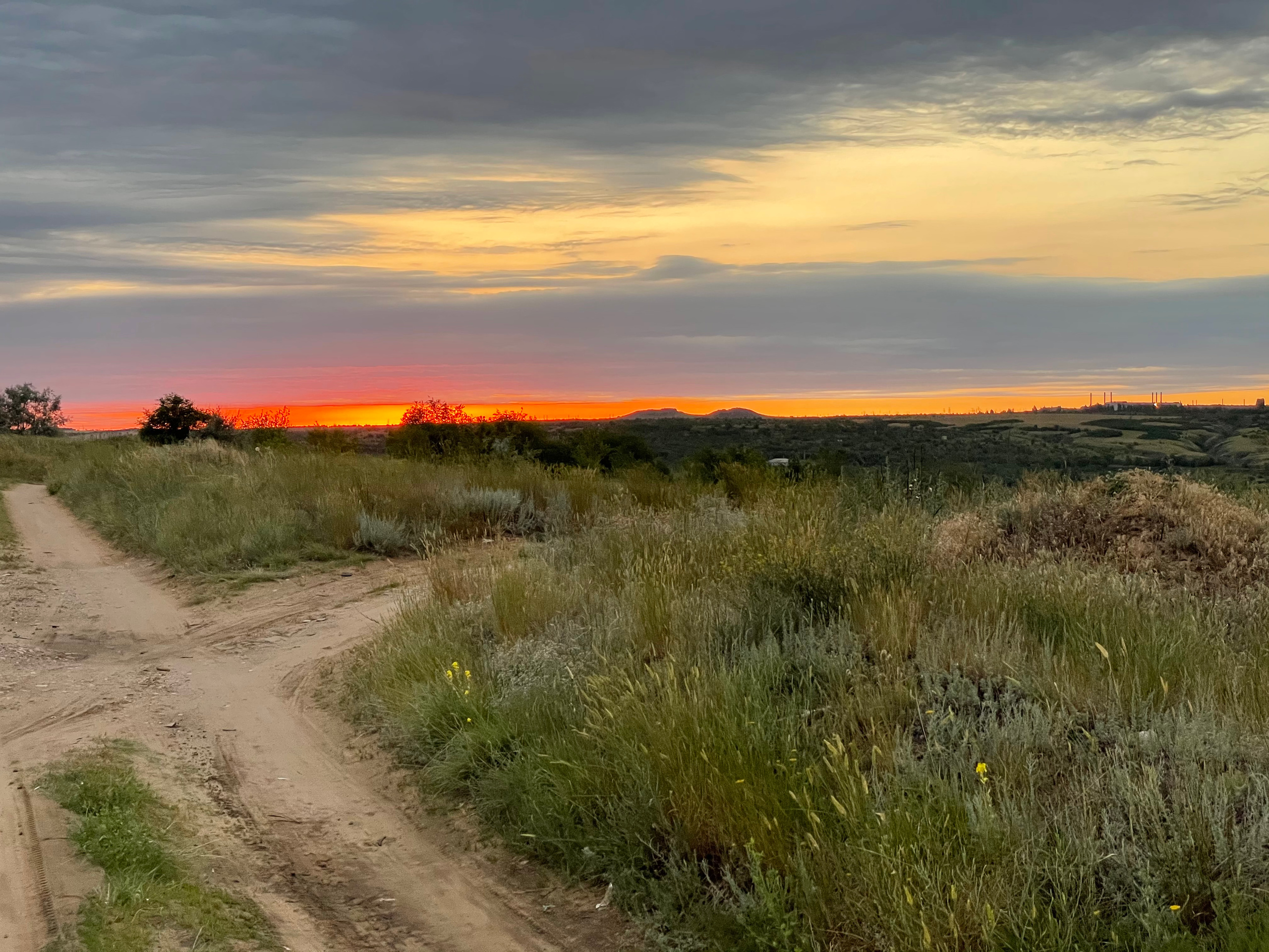 10 506 Степь. ВИЗУАЛЬНЫЕ И ЗВУКОВЫЕ РЕШЕНИЯ ДЛЯ БИЗНЕСА И СЪЁМОК ТЕЛЕТЕЛА