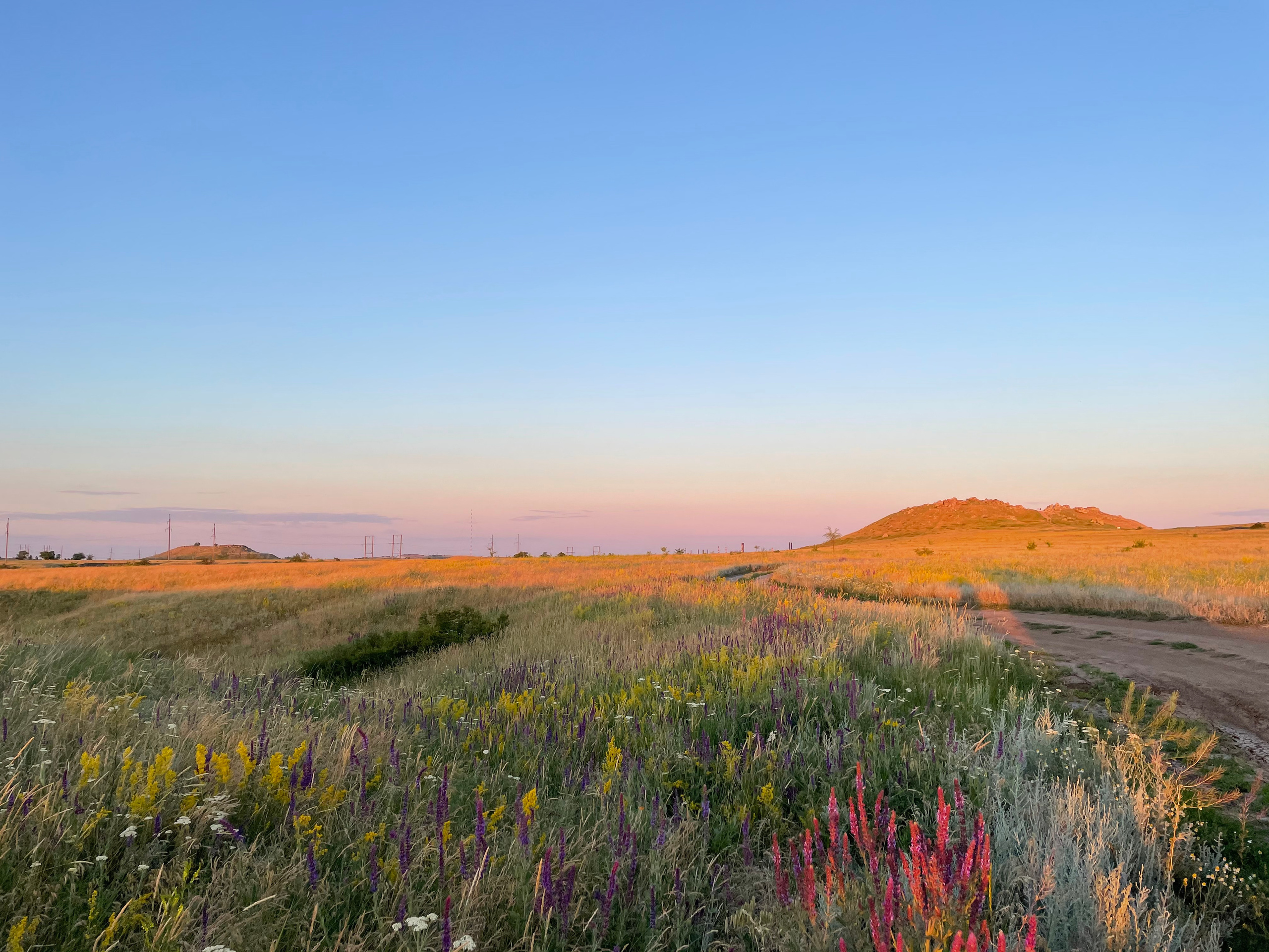 10 502 Степь. ВИЗУАЛЬНЫЕ И ЗВУКОВЫЕ РЕШЕНИЯ ДЛЯ БИЗНЕСА И СЪЁМОК ТЕЛЕТЕЛА