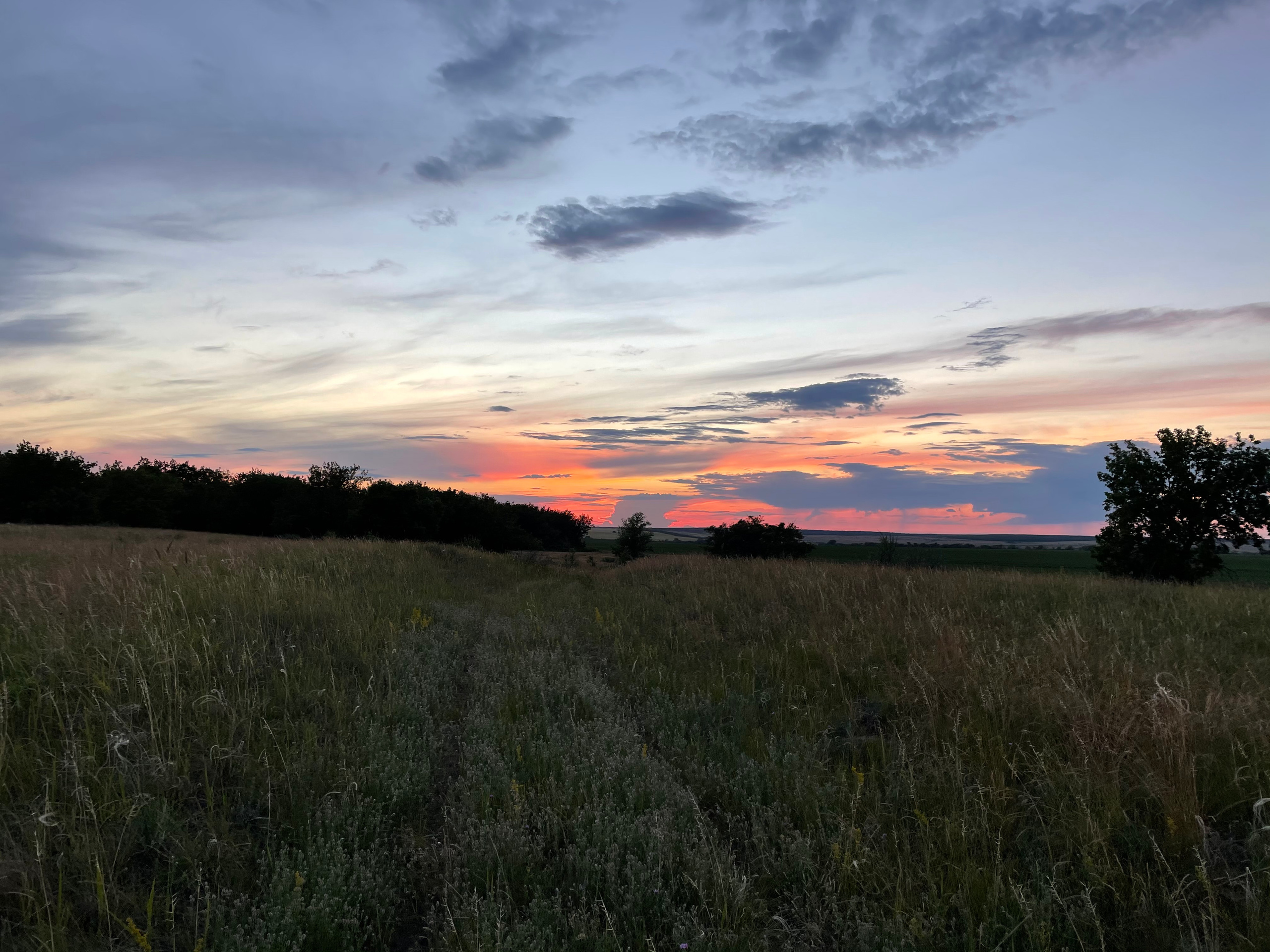 10 507 Степь. ВИЗУАЛЬНЫЕ И ЗВУКОВЫЕ РЕШЕНИЯ ДЛЯ БИЗНЕСА И СЪЁМОК ТЕЛЕТЕЛА