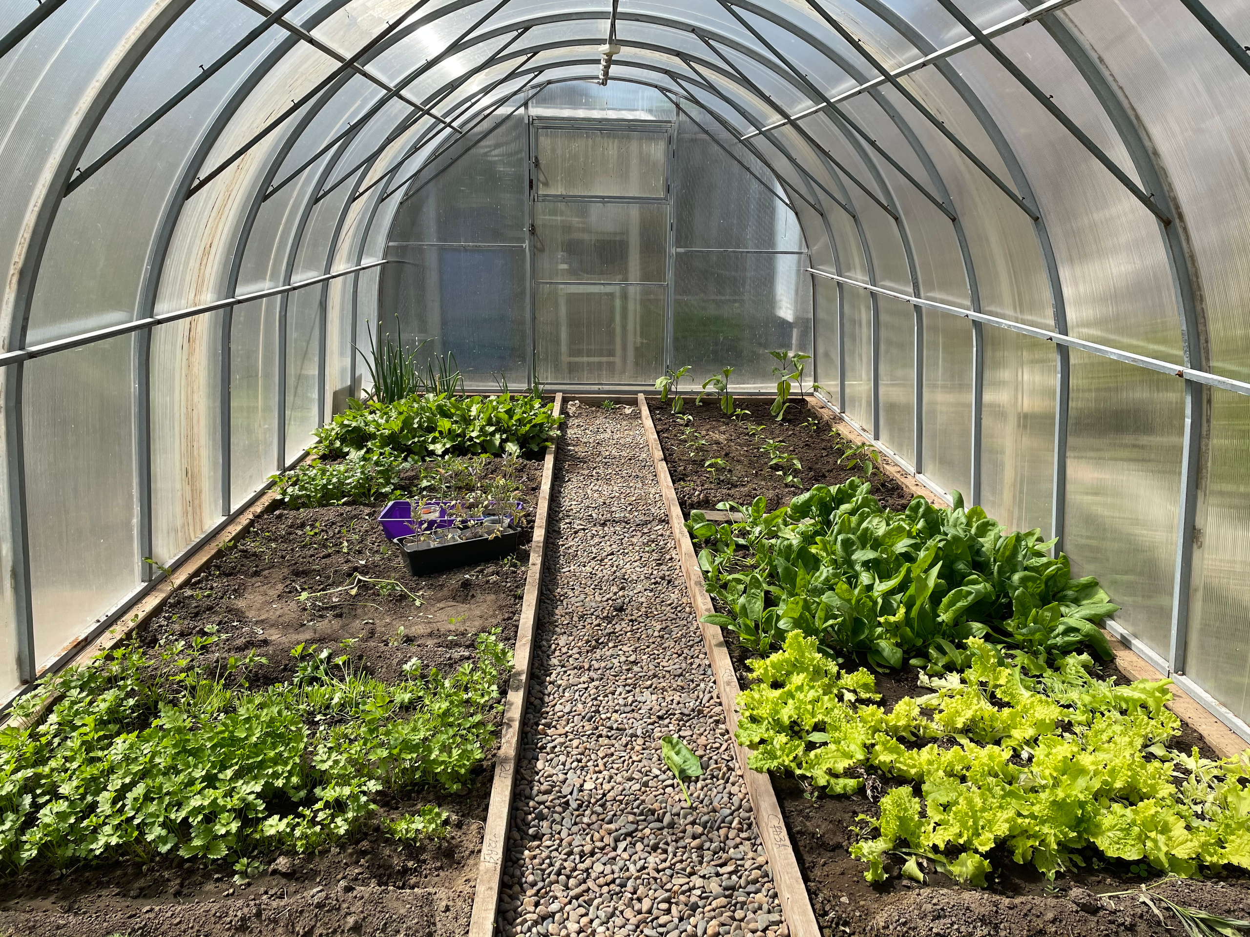 22 401 Теплица. ВИЗУАЛЬНЫЕ И ЗВУКОВЫЕ РЕШЕНИЯ ДЛЯ БИЗНЕСА И СЪЁМОК ТЕЛЕТЕЛА