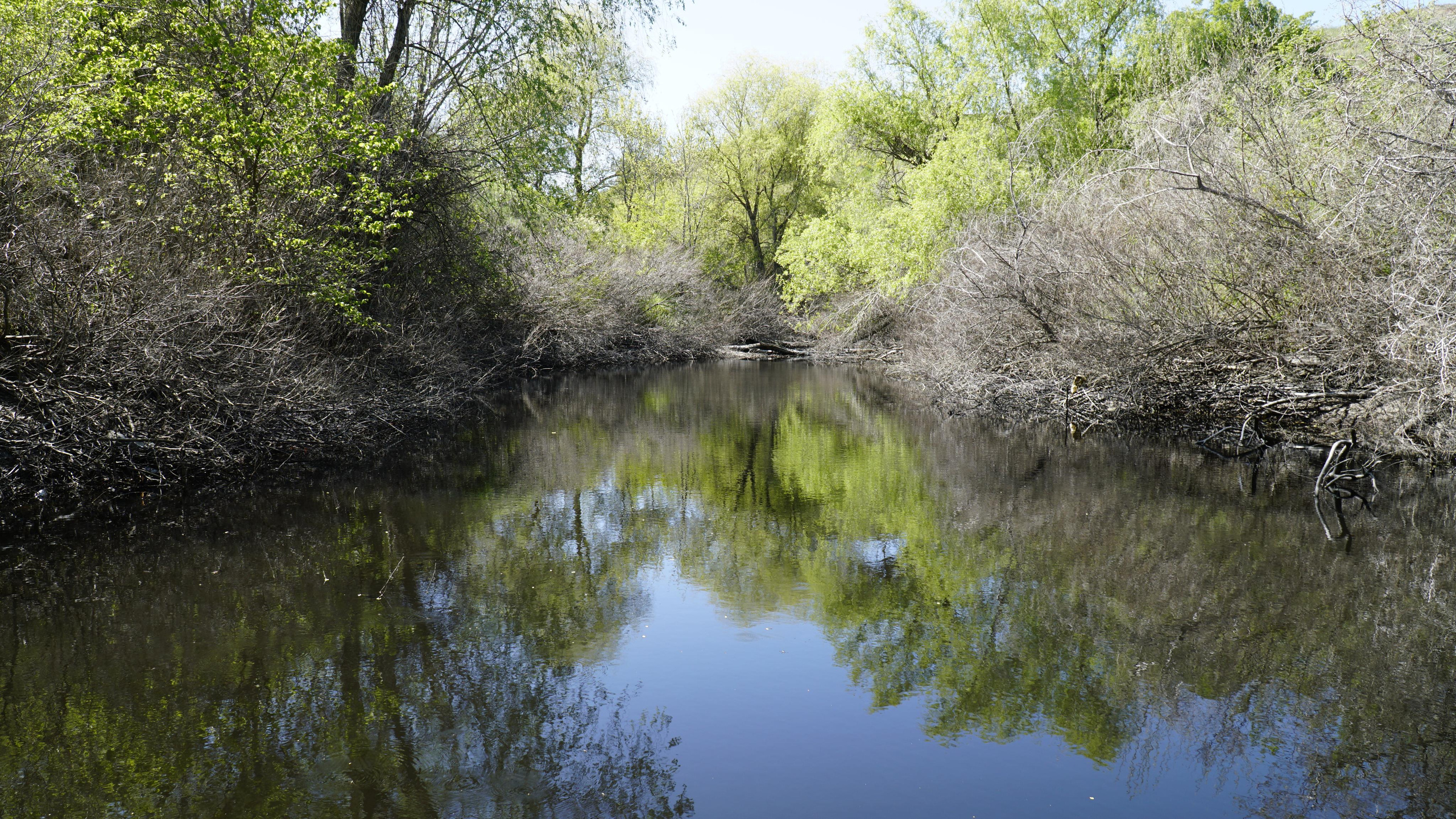 10 300 Пруд. ВИЗУАЛЬНЫЕ И ЗВУКОВЫЕ РЕШЕНИЯ ДЛЯ БИЗНЕСА И СЪЁМОК ТЕЛЕТЕЛА