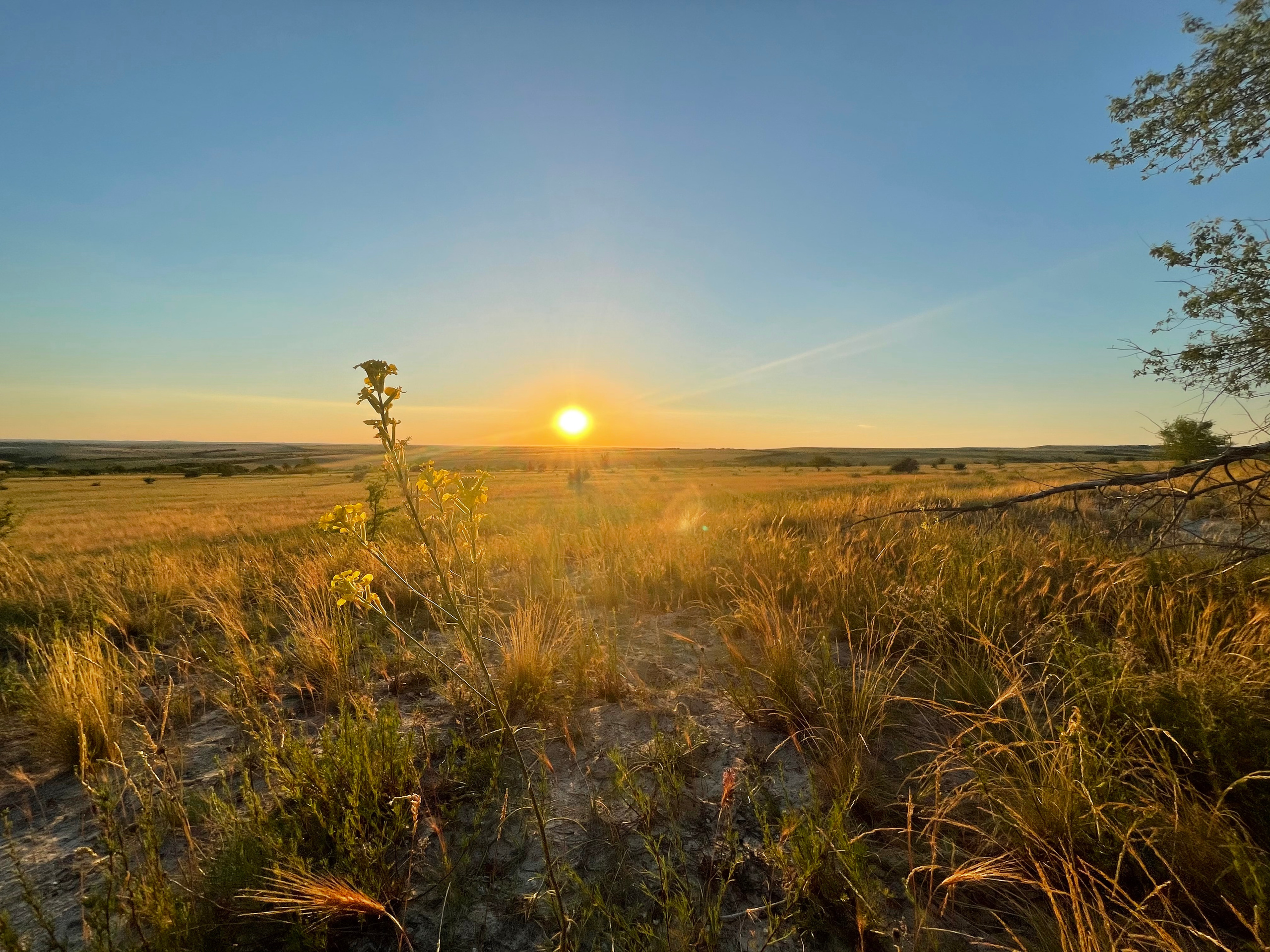 10 500 Степь. ВИЗУАЛЬНЫЕ И ЗВУКОВЫЕ РЕШЕНИЯ ДЛЯ БИЗНЕСА И СЪЁМОК ТЕЛЕТЕЛА