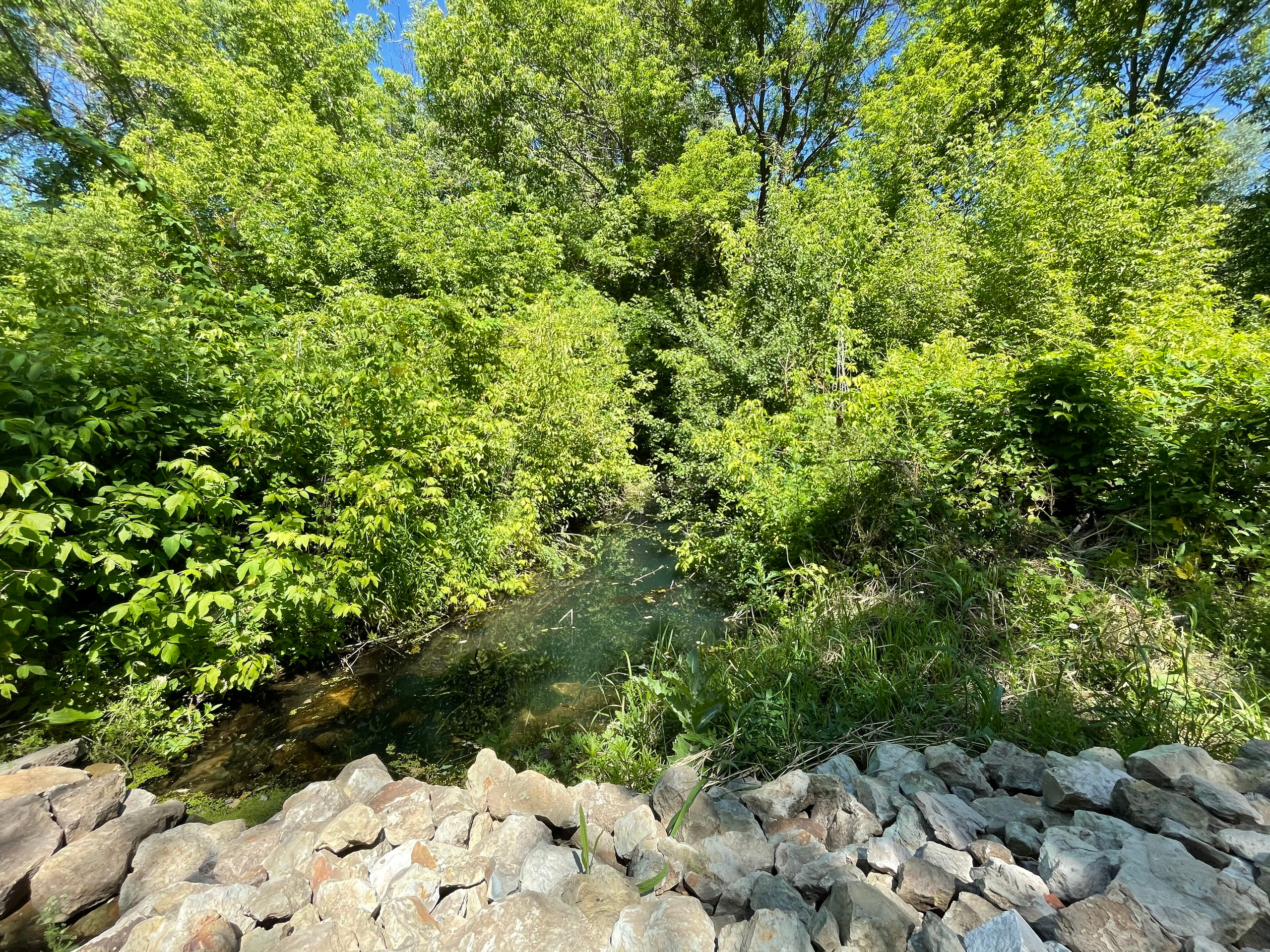 12 101 Лес, водоём. ВИЗУАЛЬНЫЕ И ЗВУКОВЫЕ РЕШЕНИЯ ДЛЯ БИЗНЕСА И СЪЁМОК ТЕЛЕТЕЛА