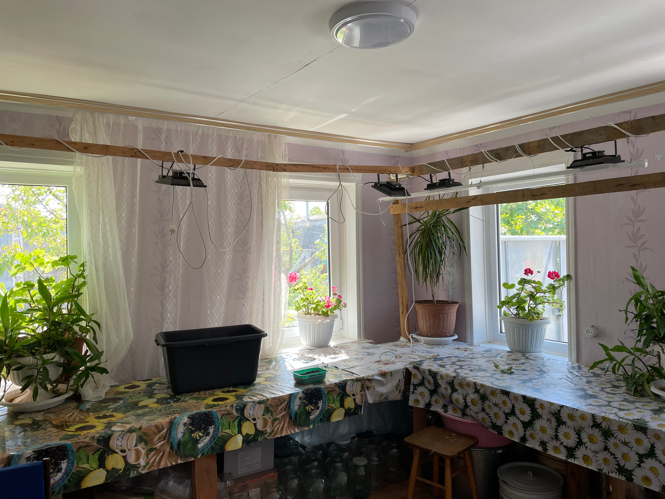 22 301 Деревенский домик в городе. ВИЗУАЛЬНЫЕ И ЗВУКОВЫЕ РЕШЕНИЯ ДЛЯ БИЗНЕСА И СЪЁМОК ТЕЛЕТЕЛА