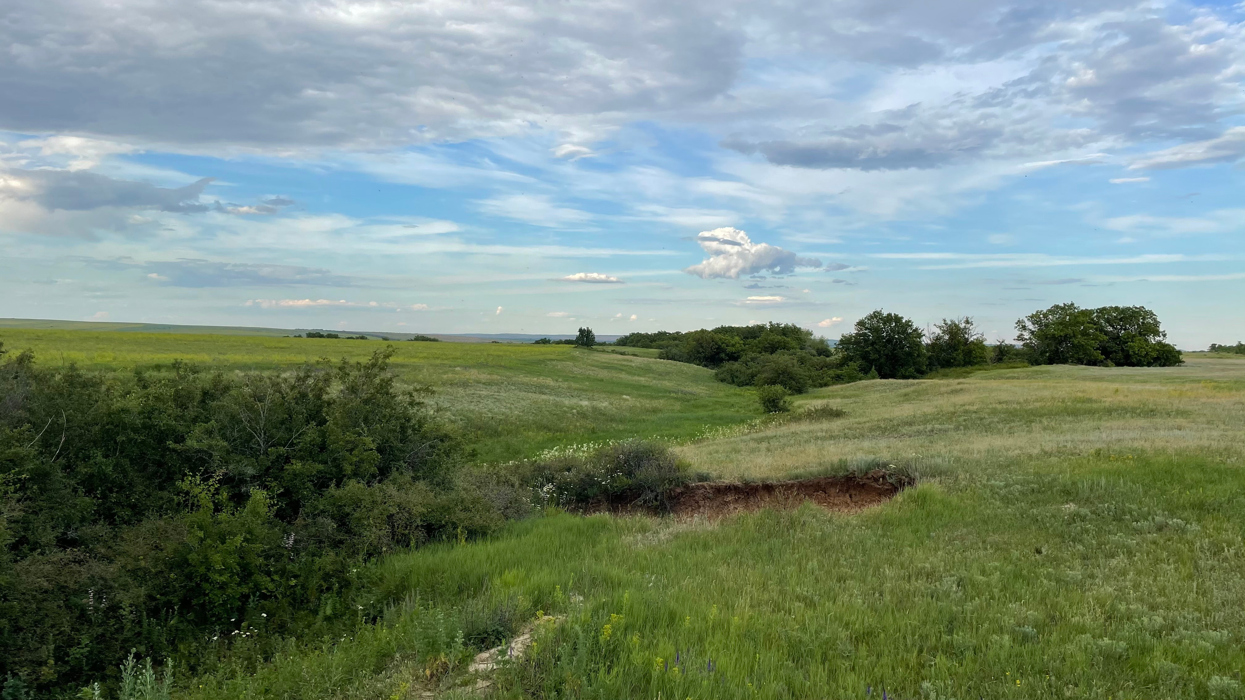 10 600 Степь. Овраг. ВИЗУАЛЬНЫЕ И ЗВУКОВЫЕ РЕШЕНИЯ ДЛЯ БИЗНЕСА И СЪЁМОК ТЕЛЕТЕЛА