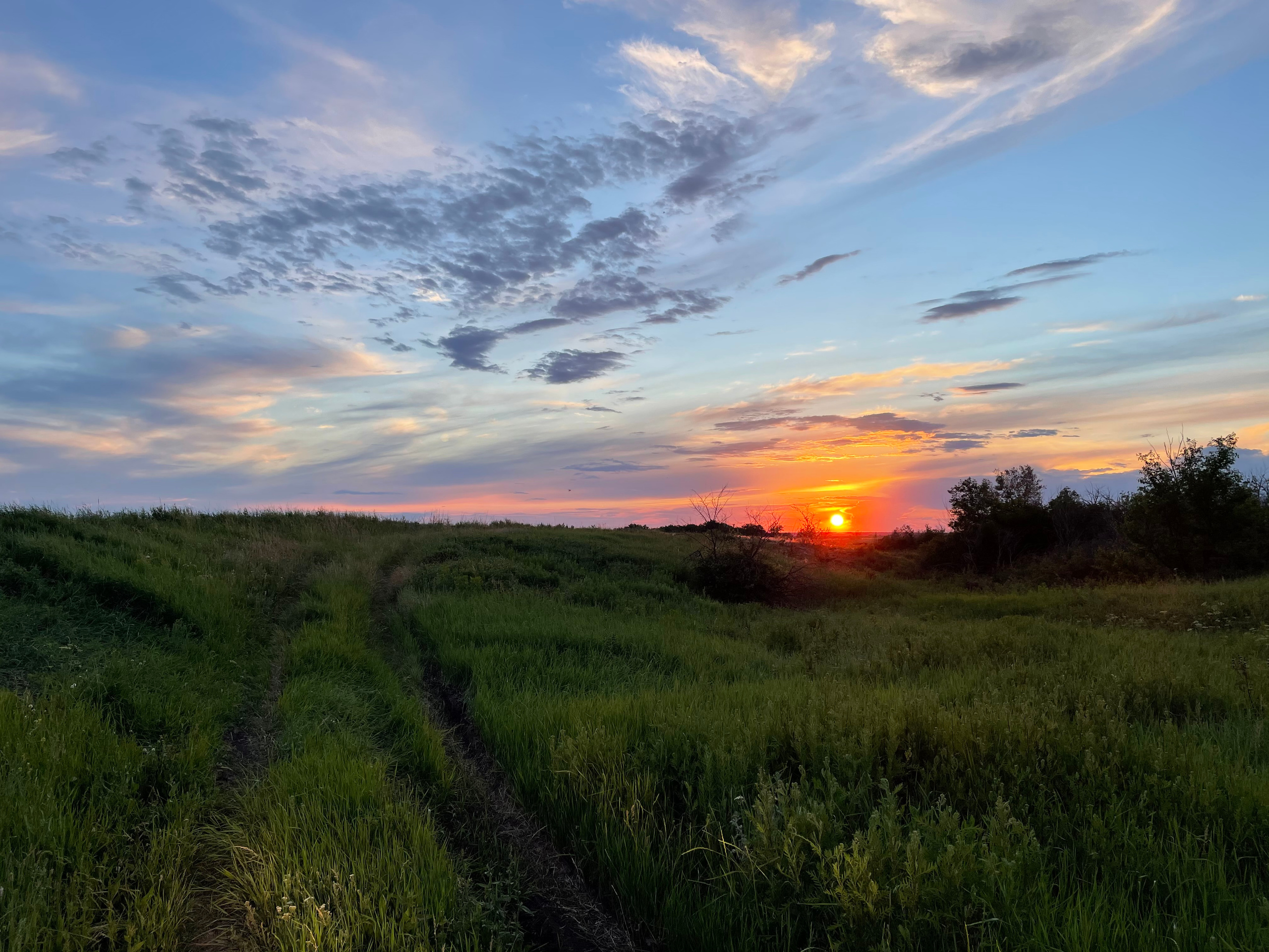 10 507 Степь. ВИЗУАЛЬНЫЕ И ЗВУКОВЫЕ РЕШЕНИЯ ДЛЯ БИЗНЕСА И СЪЁМОК ТЕЛЕТЕЛА