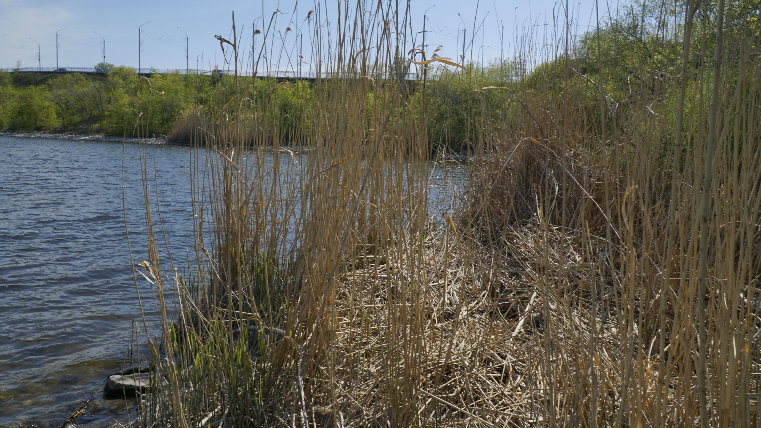 10 007 Берег. ВИЗУАЛЬНЫЕ И ЗВУКОВЫЕ РЕШЕНИЯ ДЛЯ БИЗНЕСА И СЪЁМОК ТЕЛЕТЕЛА