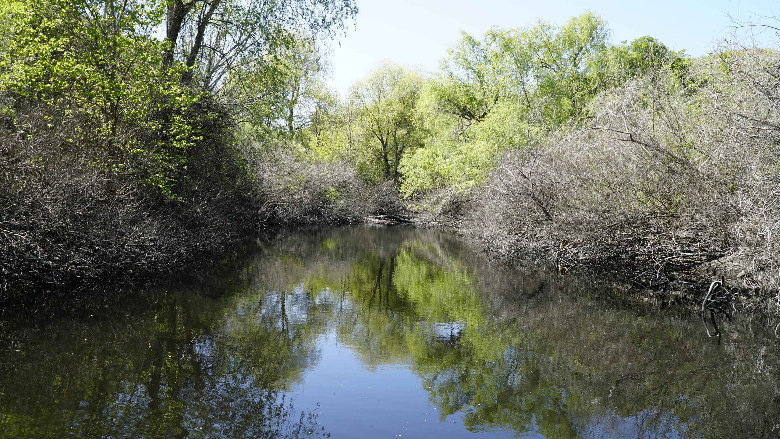 10 300 Пруд. ВИЗУАЛЬНЫЕ И ЗВУКОВЫЕ РЕШЕНИЯ ДЛЯ БИЗНЕСА И СЪЁМОК ТЕЛЕТЕЛА