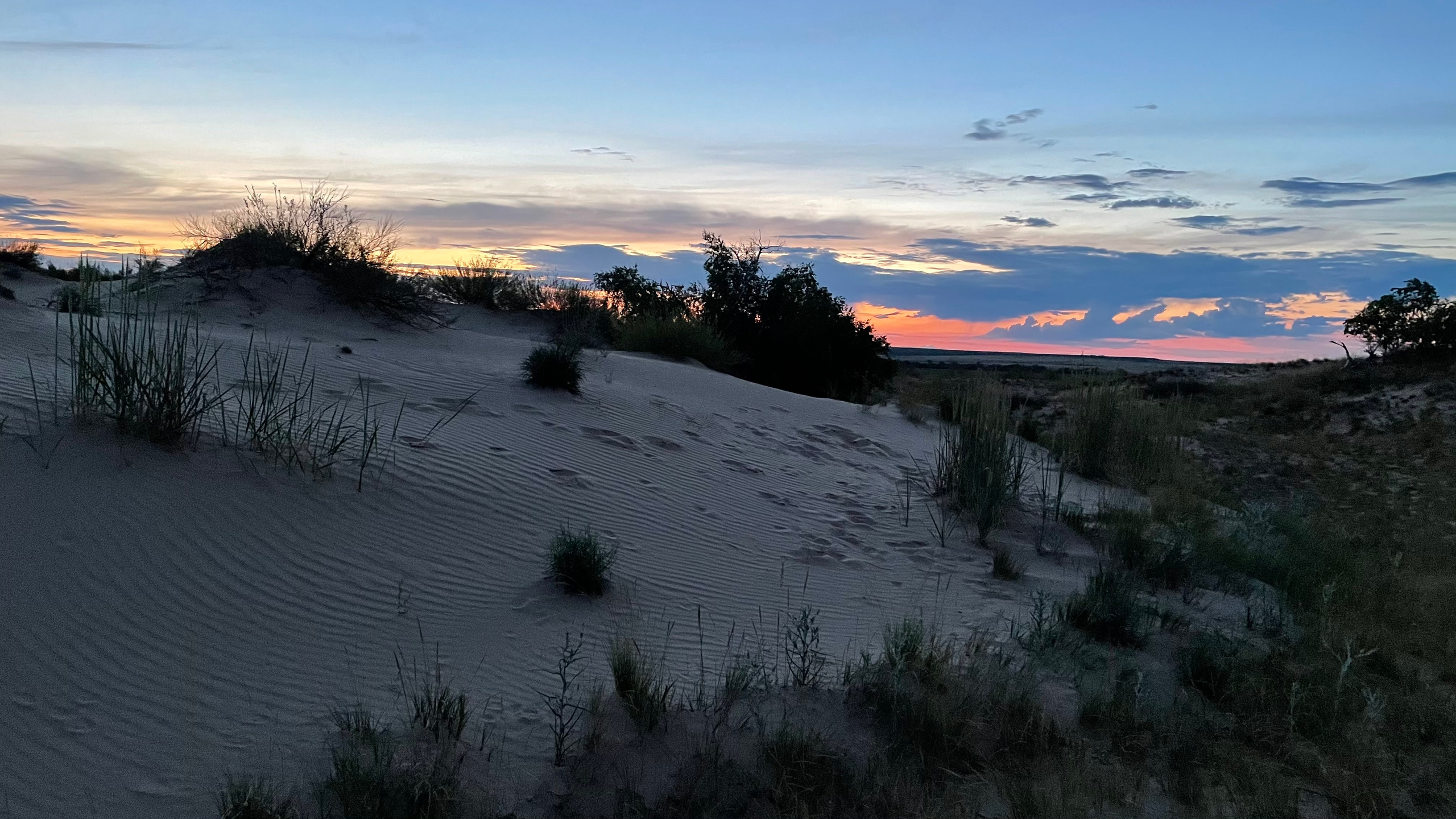 10 752 Степь. Пески белые. ВИЗУАЛЬНЫЕ И ЗВУКОВЫЕ РЕШЕНИЯ ДЛЯ БИЗНЕСА И СЪЁМОК ТЕЛЕТЕЛА