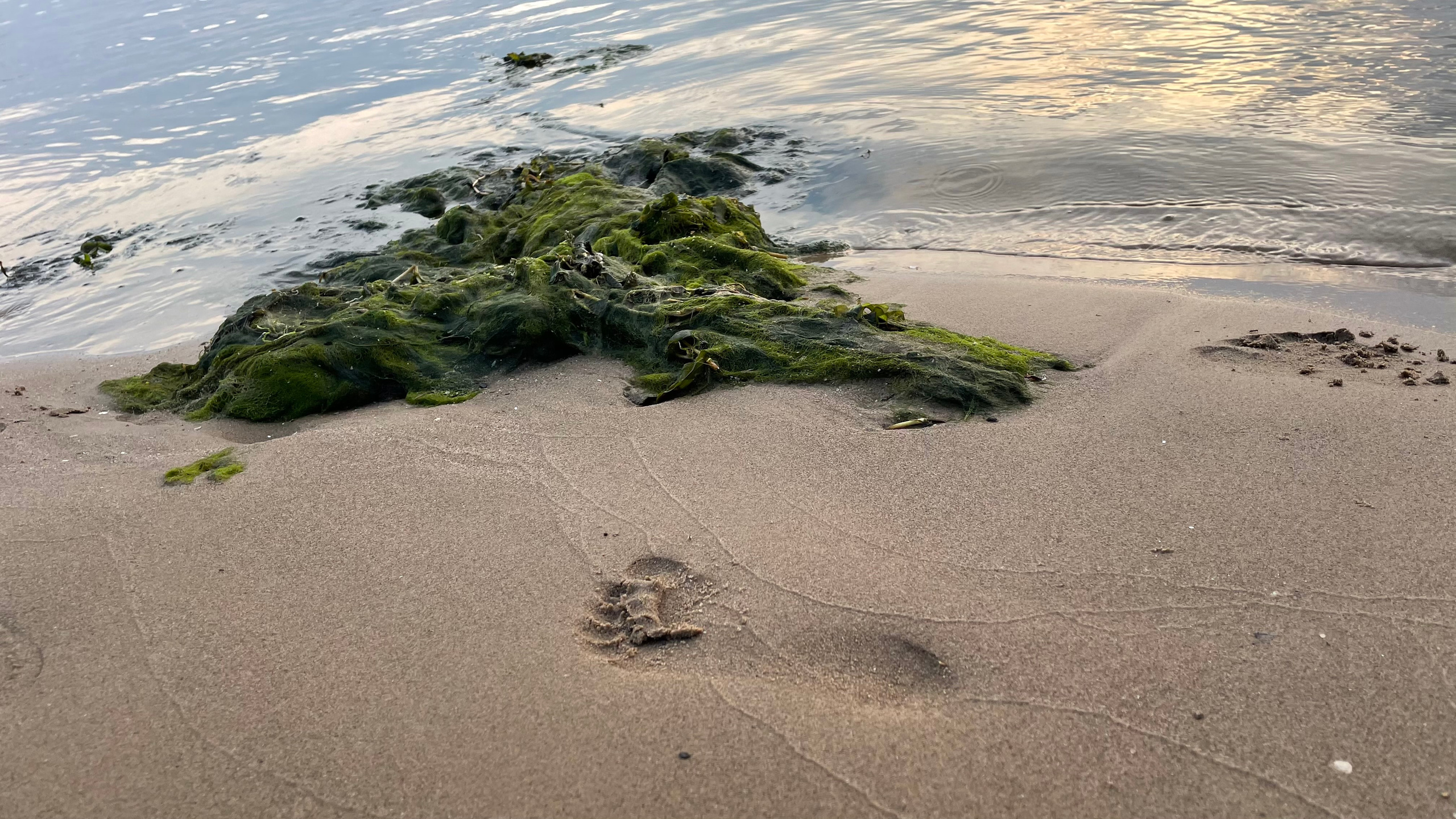 10 021 Берег. ВИЗУАЛЬНЫЕ И ЗВУКОВЫЕ РЕШЕНИЯ ДЛЯ БИЗНЕСА И СЪЁМОК ТЕЛЕТЕЛА