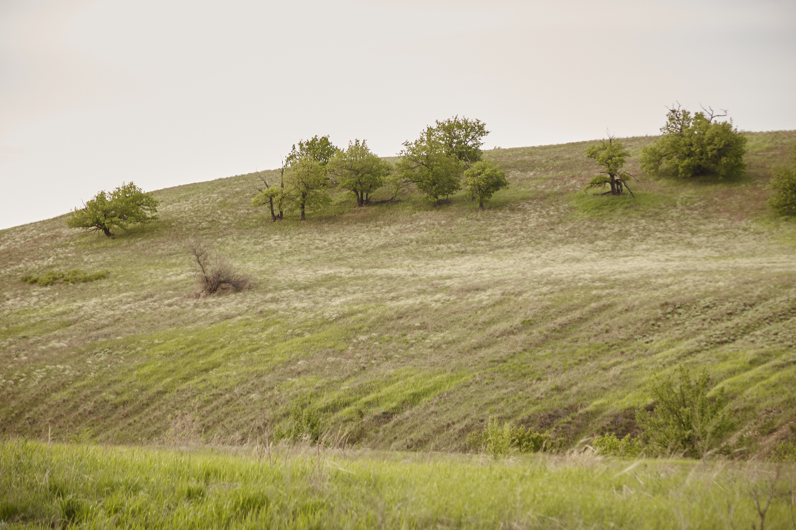 12 001 Холмы. ВИЗУАЛЬНЫЕ И ЗВУКОВЫЕ РЕШЕНИЯ ДЛЯ БИЗНЕСА И СЪЁМОК ТЕЛЕТЕЛА