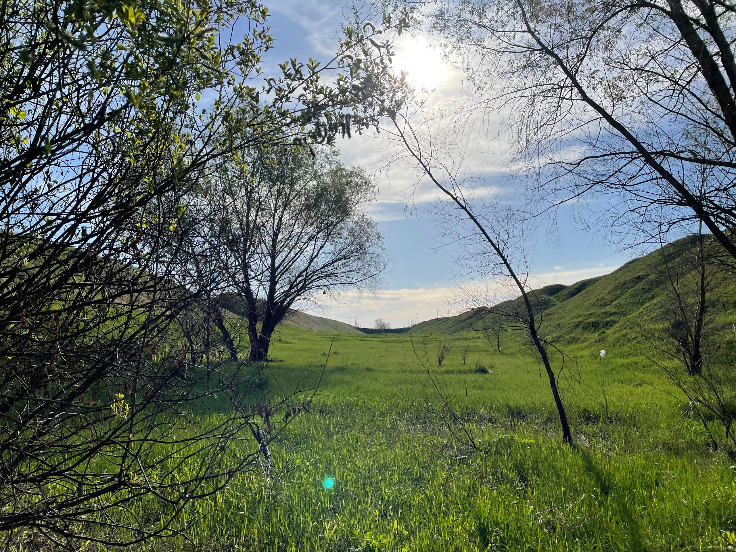 12 000 Холмы. Валы. ВИЗУАЛЬНЫЕ И ЗВУКОВЫЕ РЕШЕНИЯ ДЛЯ БИЗНЕСА И СЪЁМОК ТЕЛЕТЕЛА
