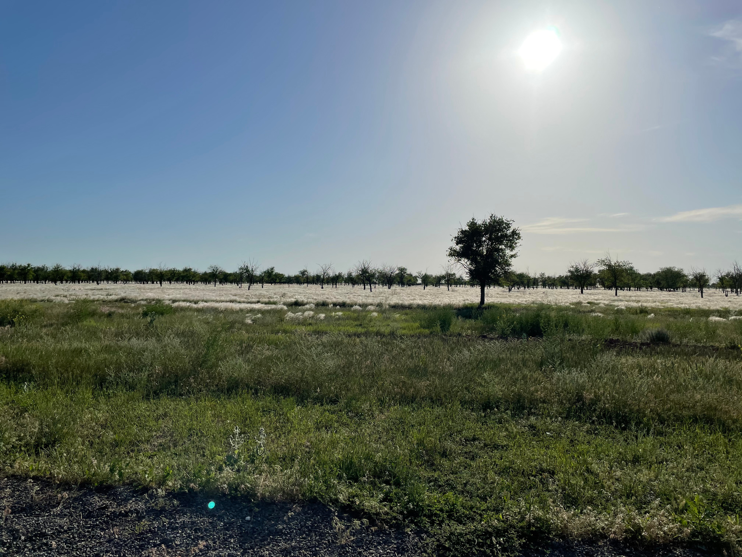 10 504 Степь. ВИЗУАЛЬНЫЕ И ЗВУКОВЫЕ РЕШЕНИЯ ДЛЯ БИЗНЕСА И СЪЁМОК ТЕЛЕТЕЛА