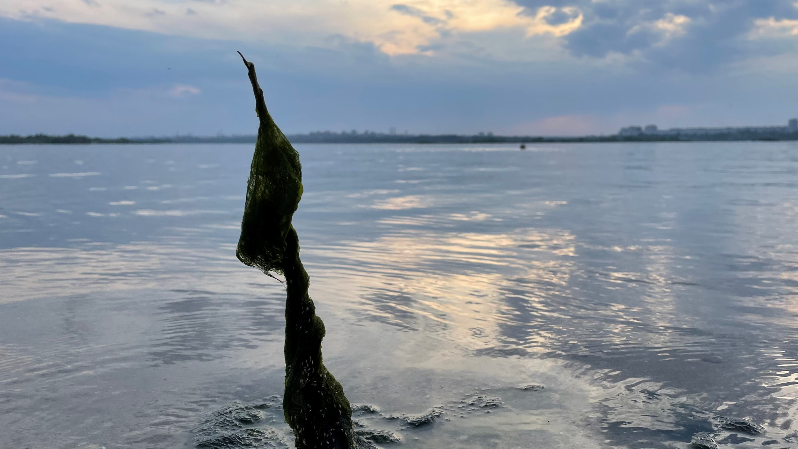 10 021 Берег. ВИЗУАЛЬНЫЕ И ЗВУКОВЫЕ РЕШЕНИЯ ДЛЯ БИЗНЕСА И СЪЁМОК ТЕЛЕТЕЛА
