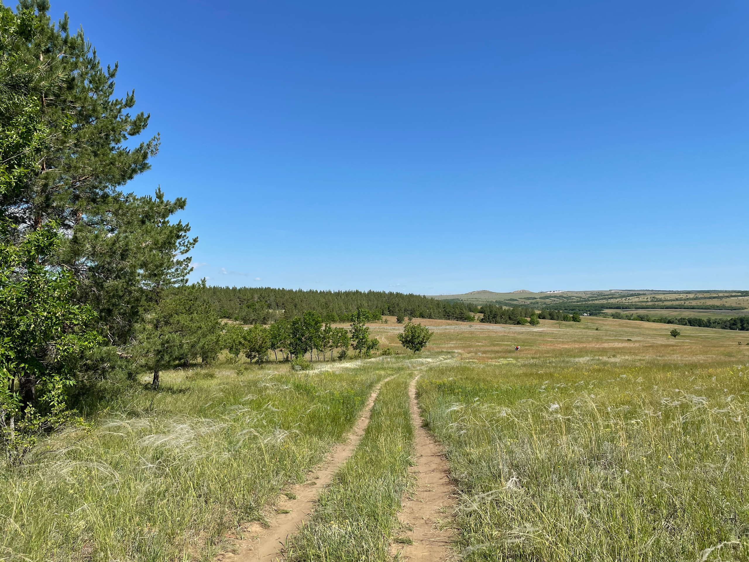 10 501 Степь. ВИЗУАЛЬНЫЕ И ЗВУКОВЫЕ РЕШЕНИЯ ДЛЯ БИЗНЕСА И СЪЁМОК ТЕЛЕТЕЛА