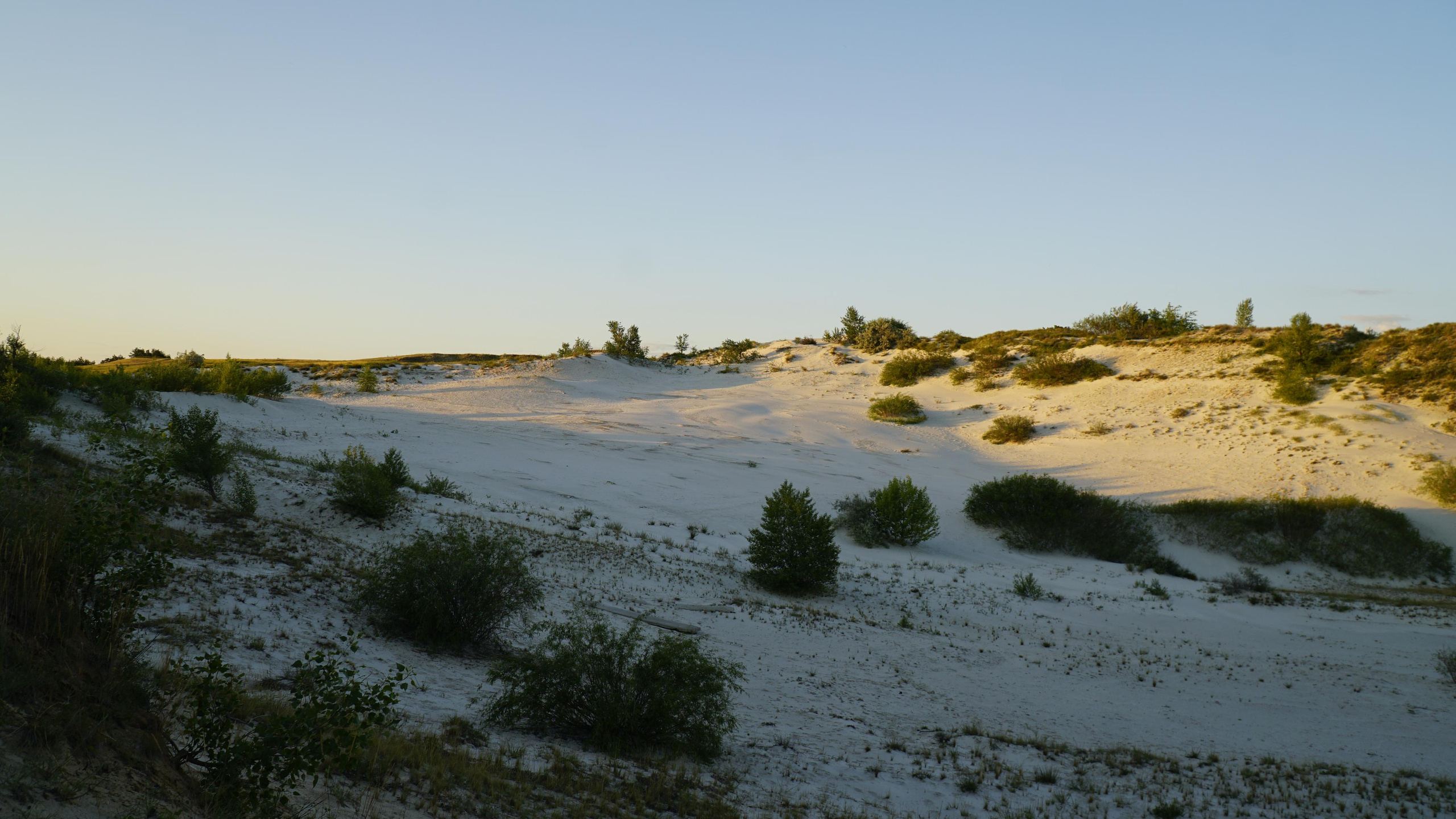 10 905 Пески белые. ВИЗУАЛЬНЫЕ И ЗВУКОВЫЕ РЕШЕНИЯ ДЛЯ БИЗНЕСА И СЪЁМОК ТЕЛЕТЕЛА