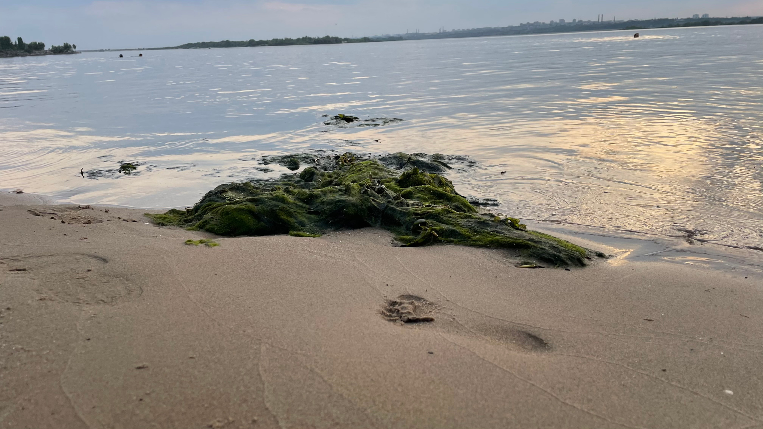10 021 Берег. ВИЗУАЛЬНЫЕ И ЗВУКОВЫЕ РЕШЕНИЯ ДЛЯ БИЗНЕСА И СЪЁМОК ТЕЛЕТЕЛА