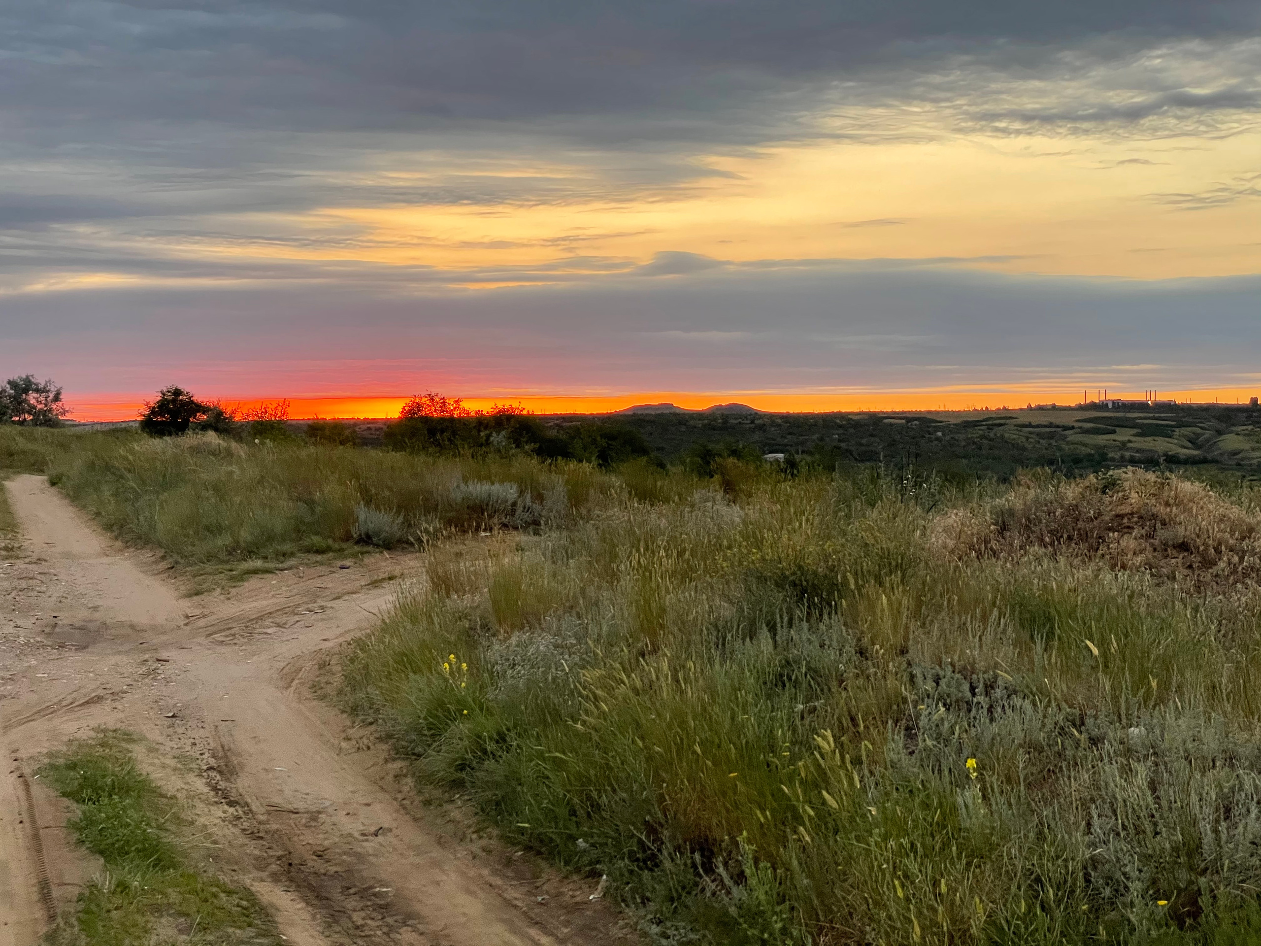 10 506 Степь. ВИЗУАЛЬНЫЕ И ЗВУКОВЫЕ РЕШЕНИЯ ДЛЯ БИЗНЕСА И СЪЁМОК ТЕЛЕТЕЛА